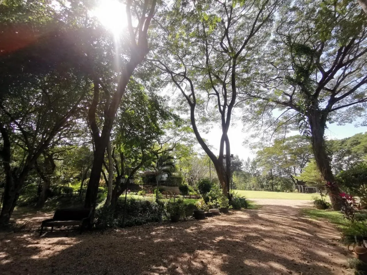 Garden in The Harmony Resort