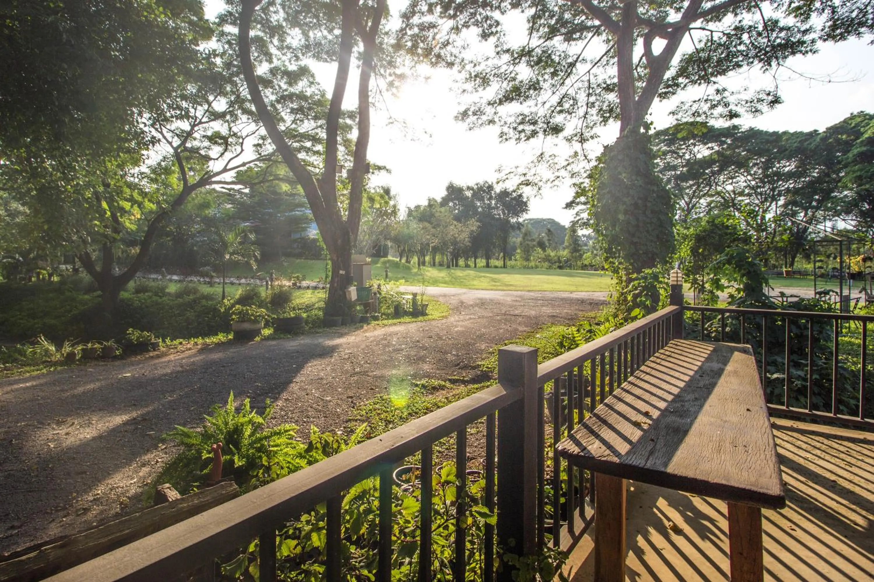 Natural landscape in The Harmony Resort