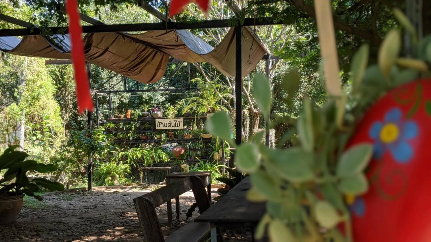 Garden in The Harmony Resort