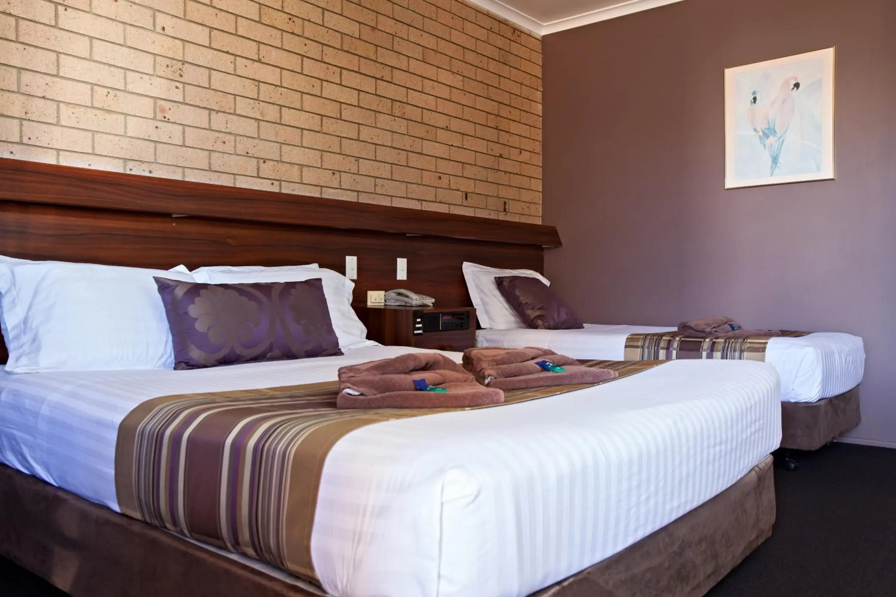 Twin Room - single occupancy in Sarina Motor Inn Twin Room - single occupancy in Sarina Motor Inn