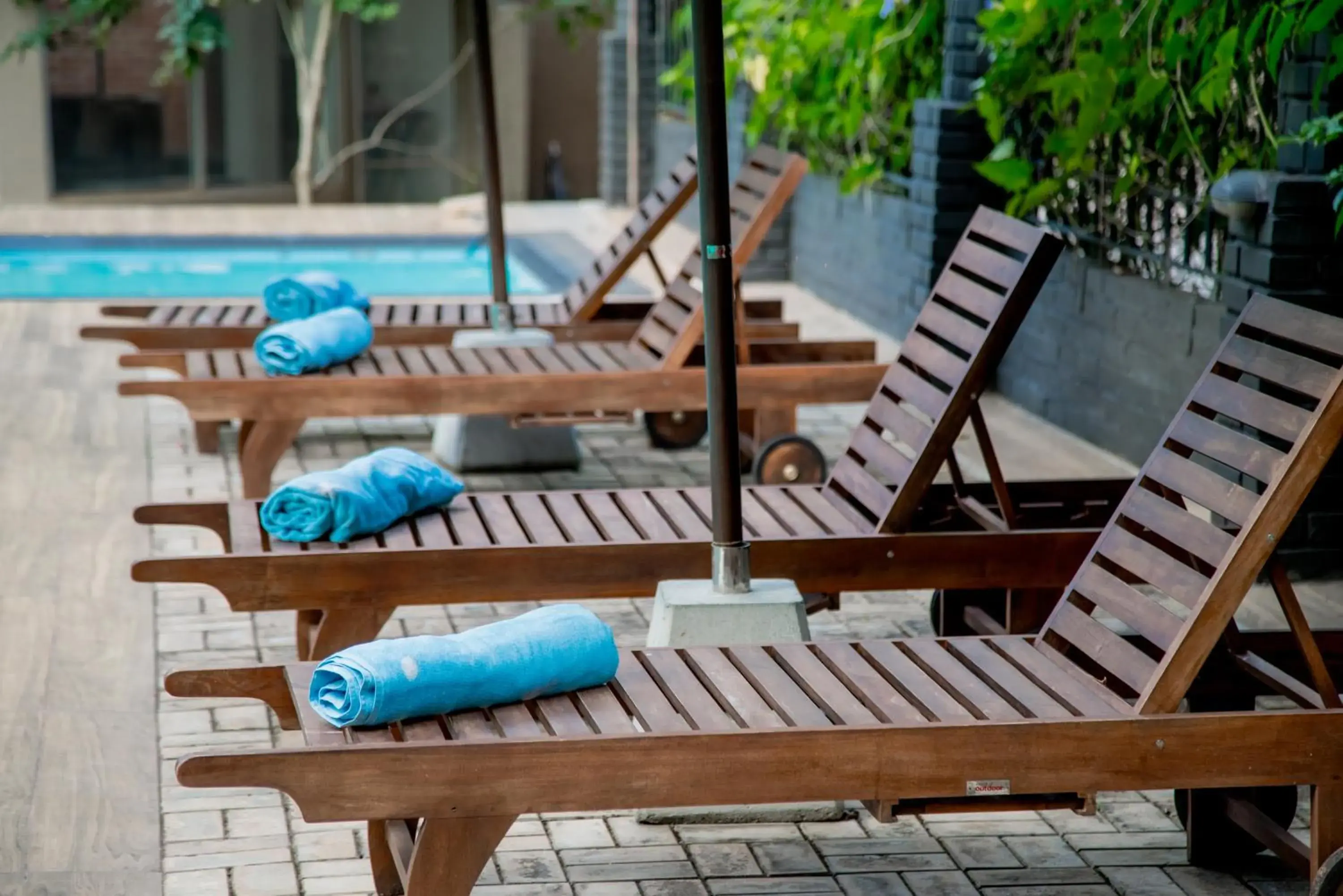 sunbed in Lavendish Country Resort sunbed in Lavendish Country Resort