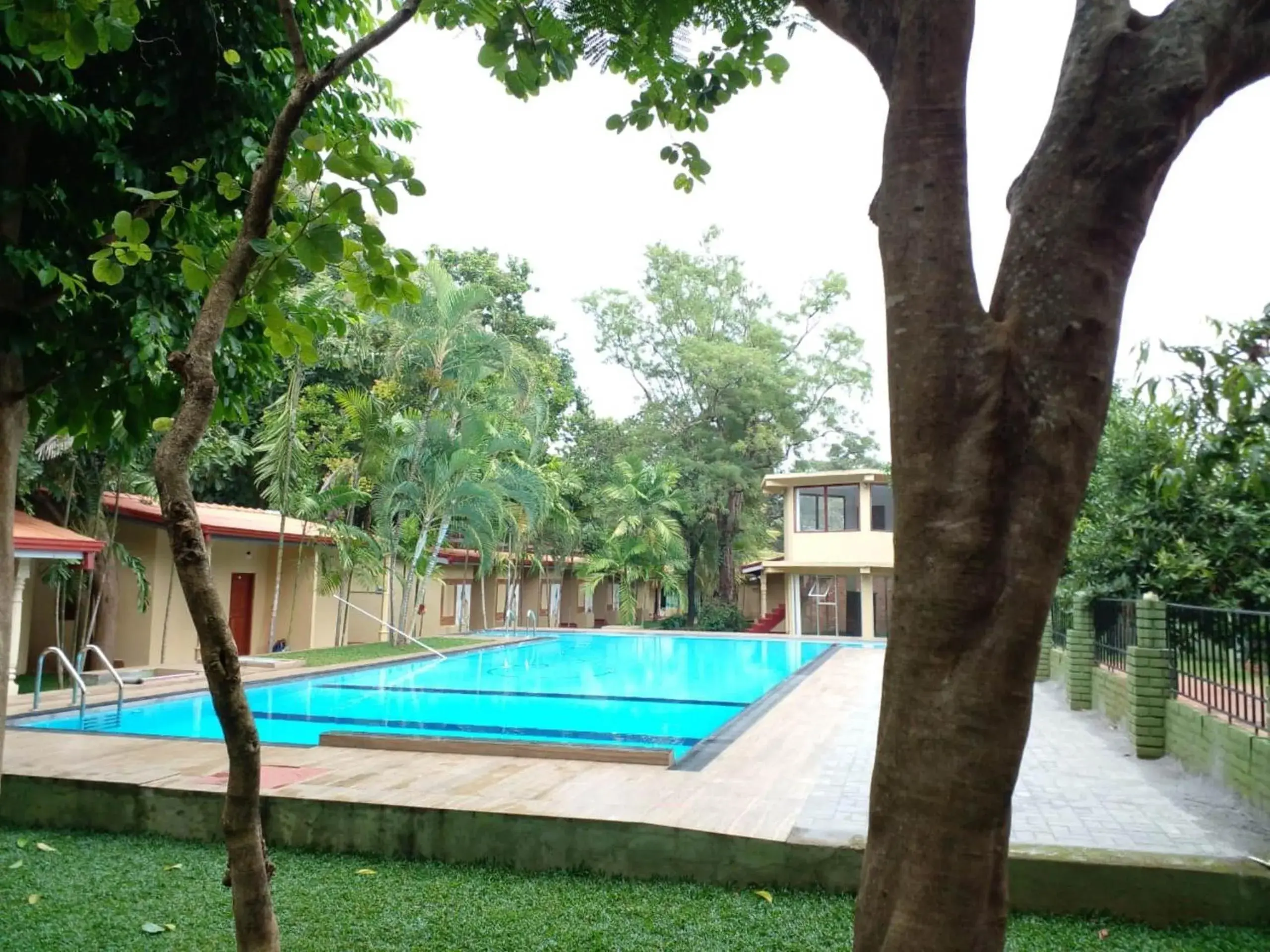 Swimming pool in Lavendish Country Resort Swimming pool in Lavendish Country Resort