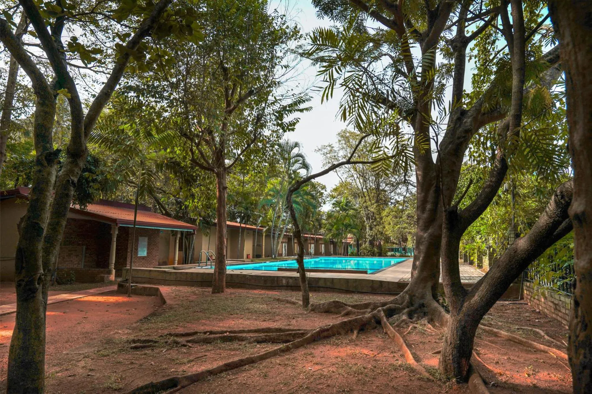 Swimming pool in Lavendish Country Resort