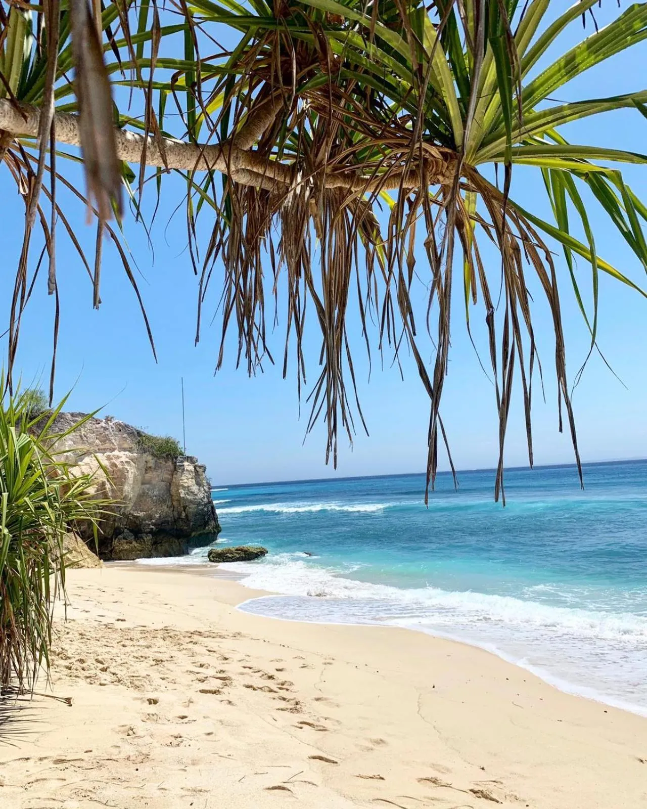 Area and facilities in Casa del Mar