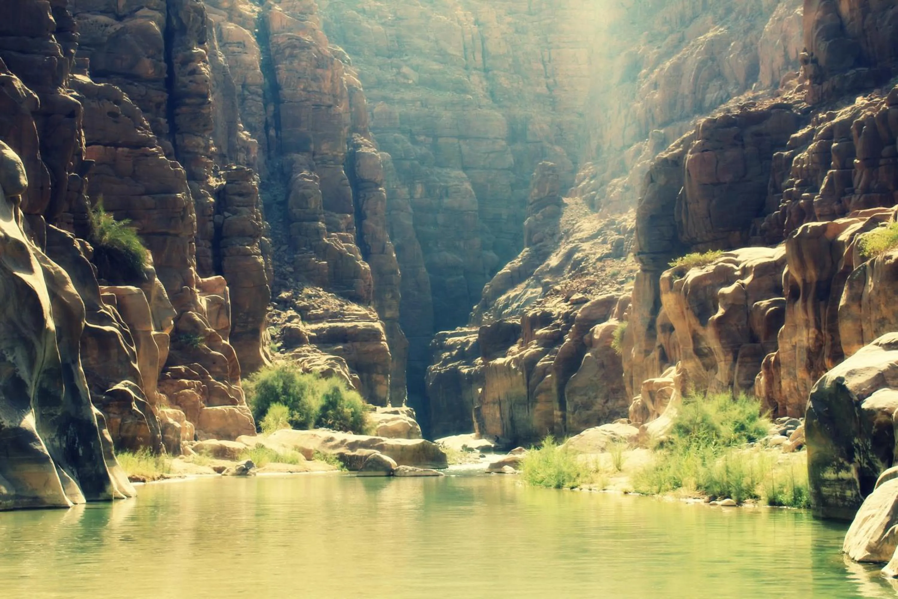 Natural landscape in The Place Apartments