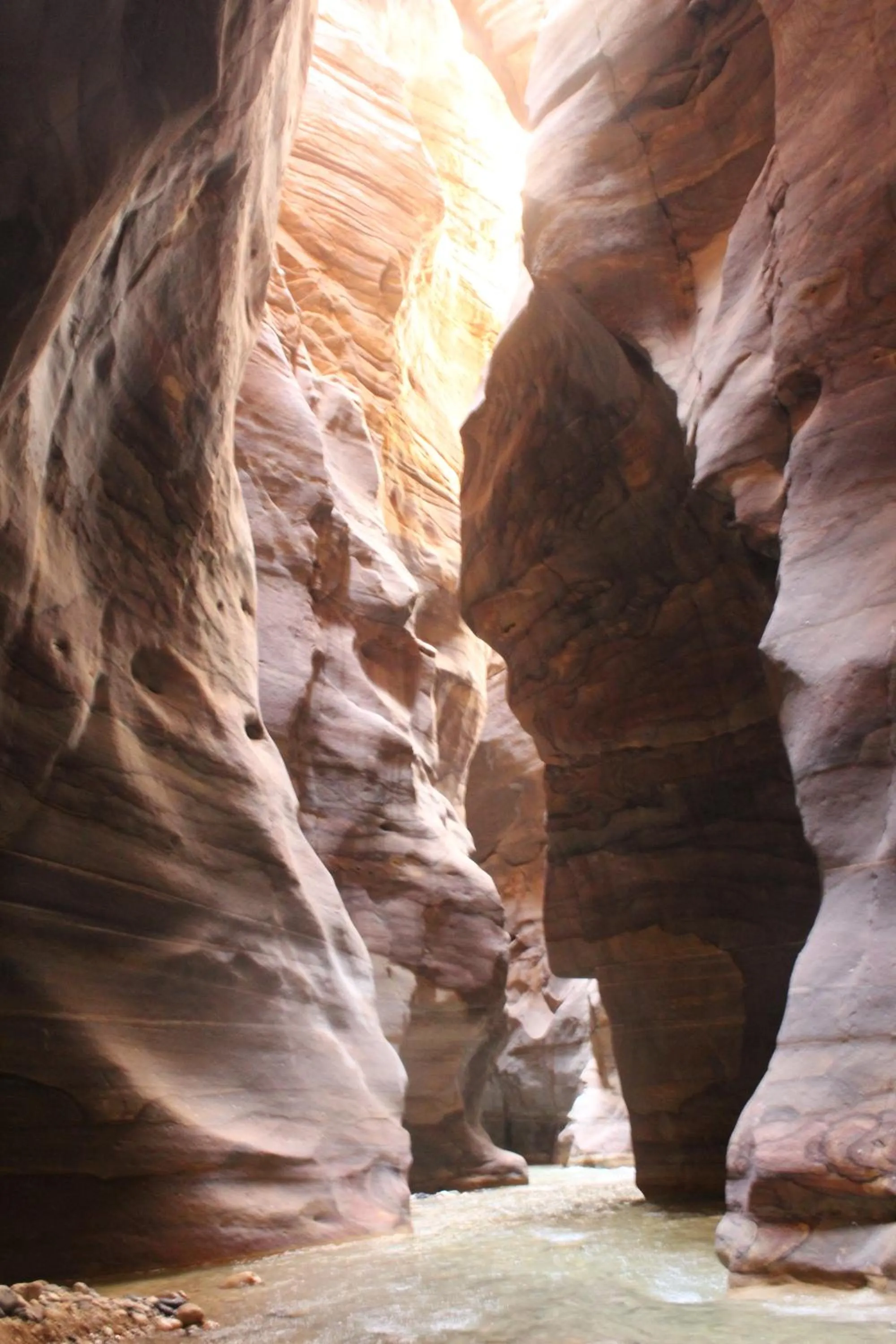 Natural landscape in The Place Apartments