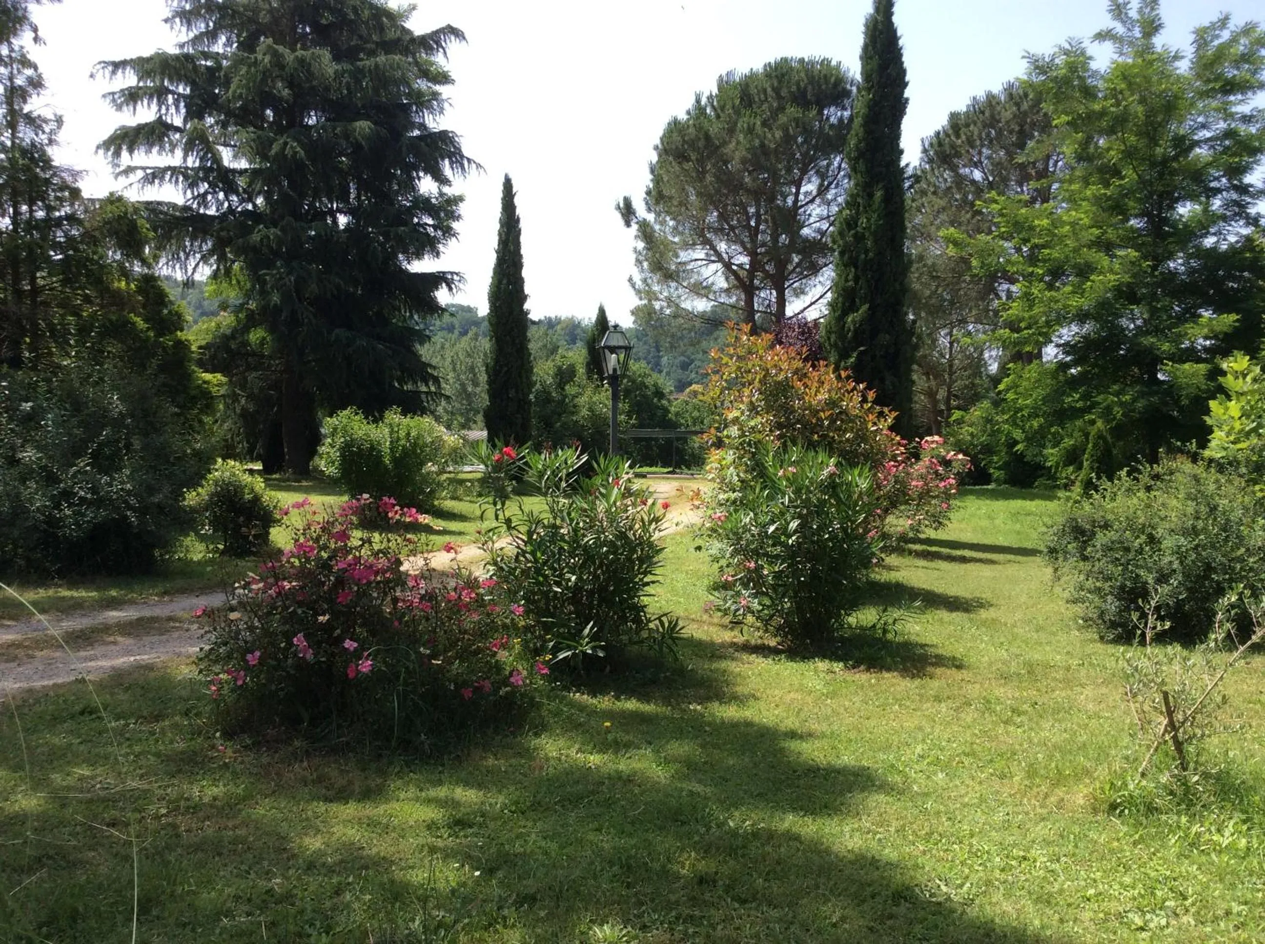 Garden view in Villa Rigacci