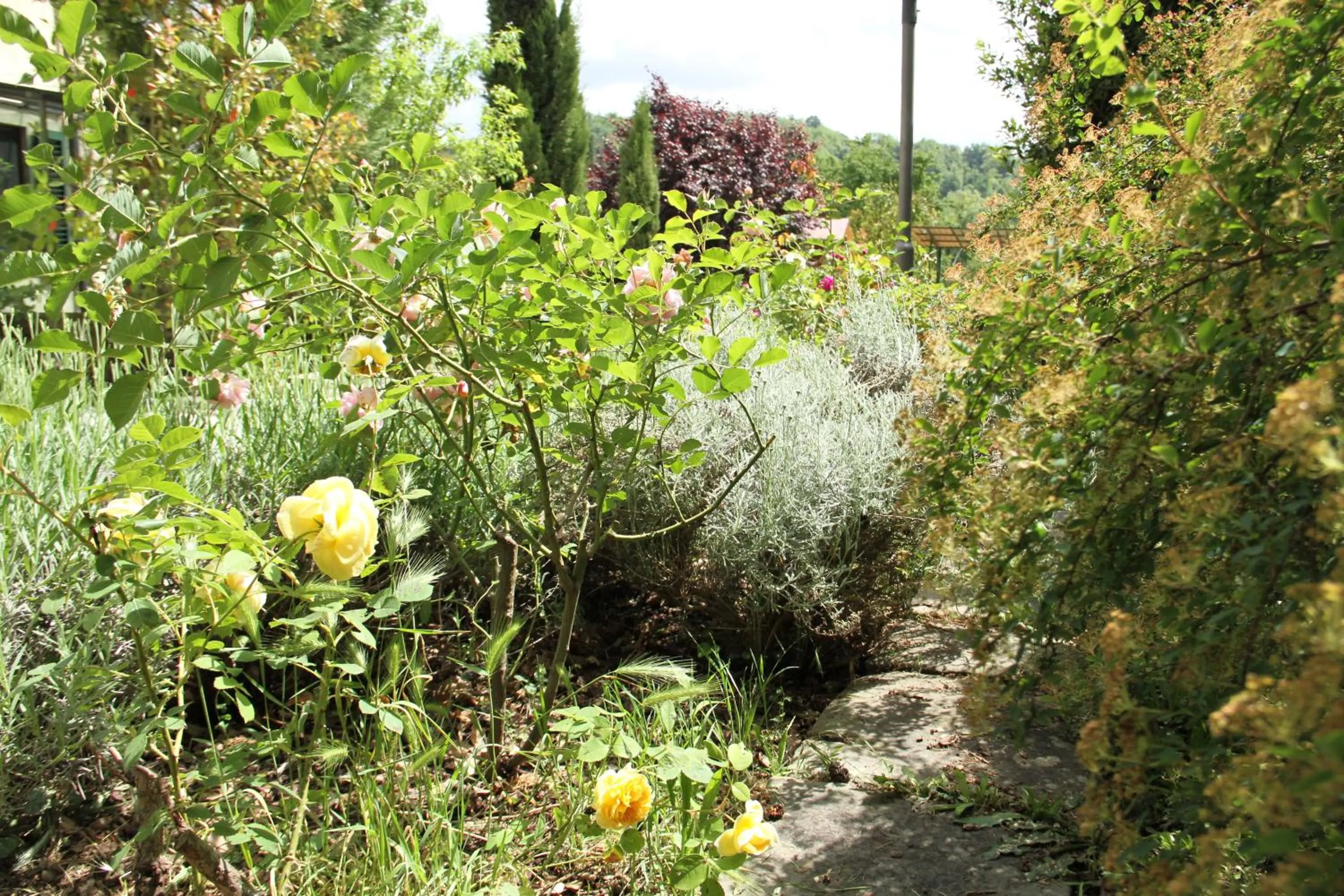 Garden in Villa Rigacci