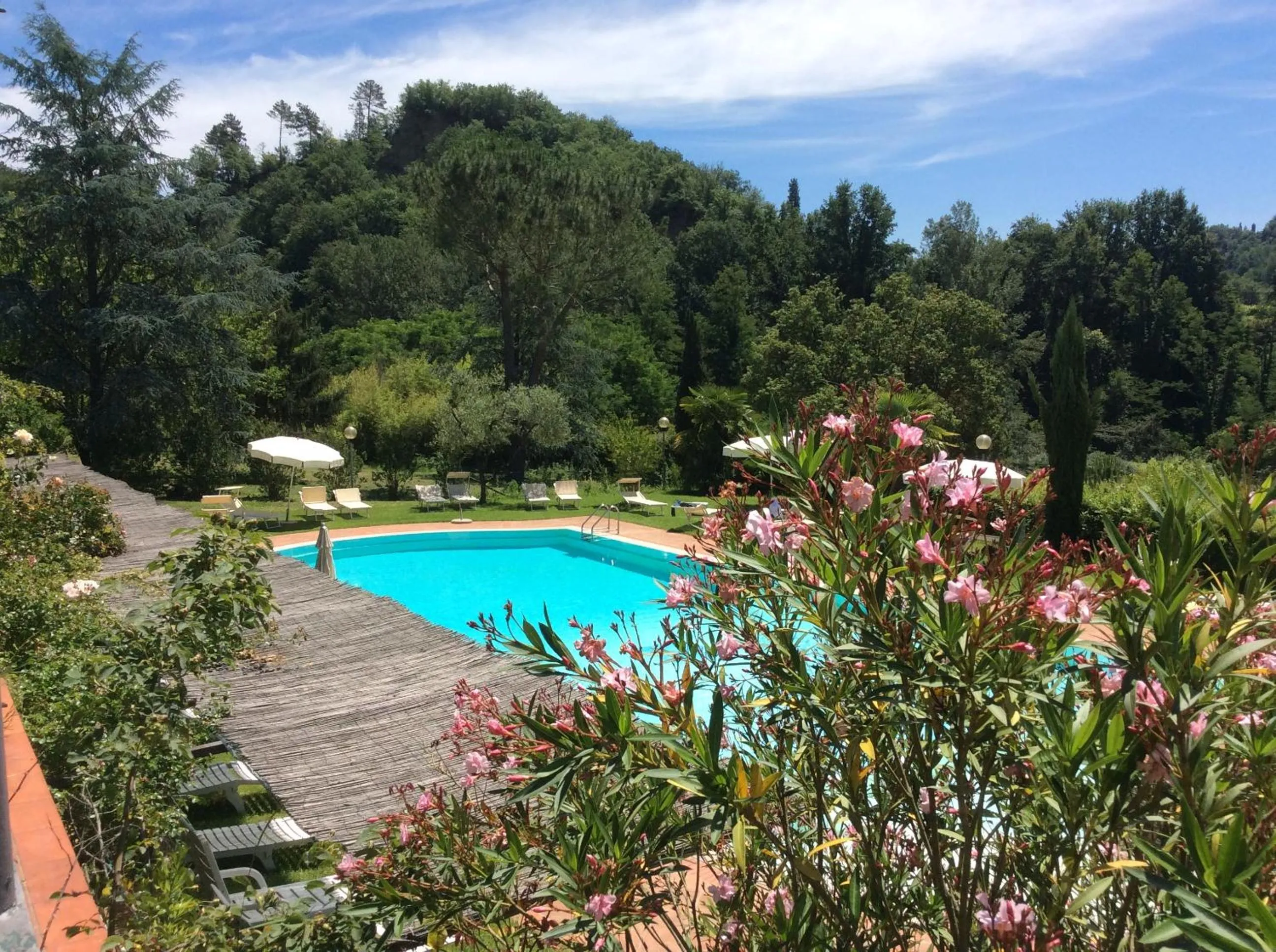 Swimming pool in Villa Rigacci