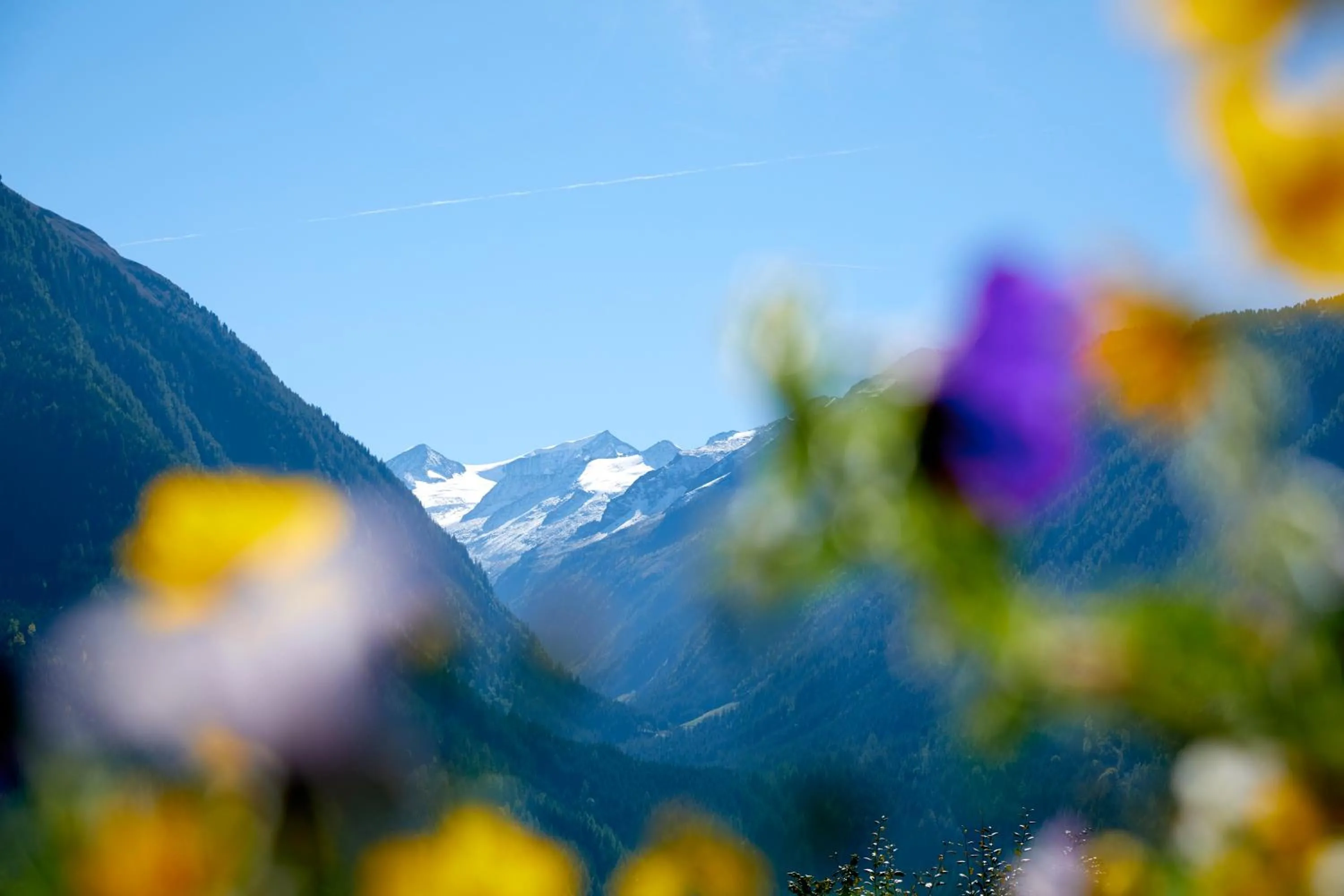 Natural landscape in Hotel Gasthof Abelhof