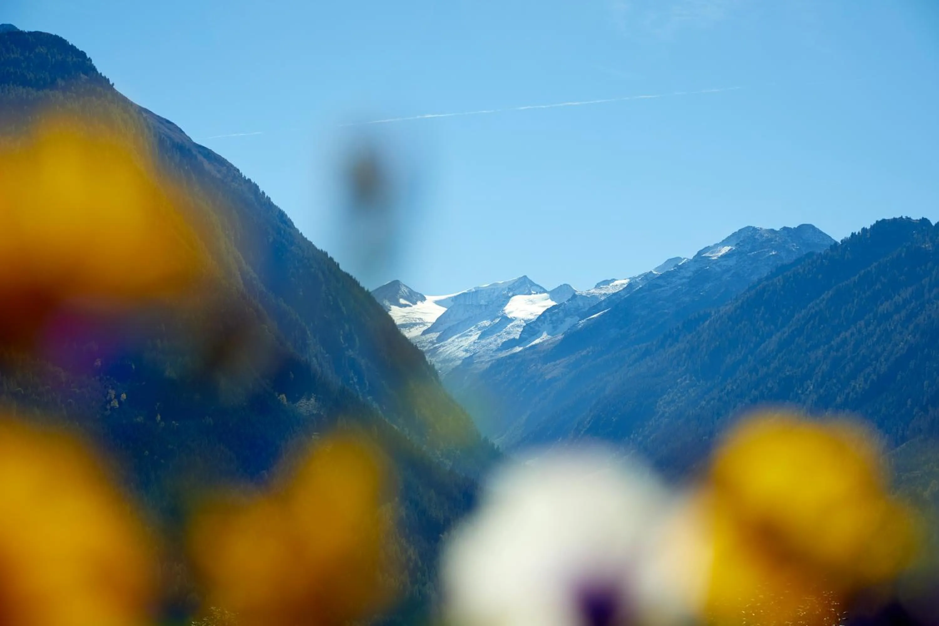 Natural landscape in Hotel Gasthof Abelhof