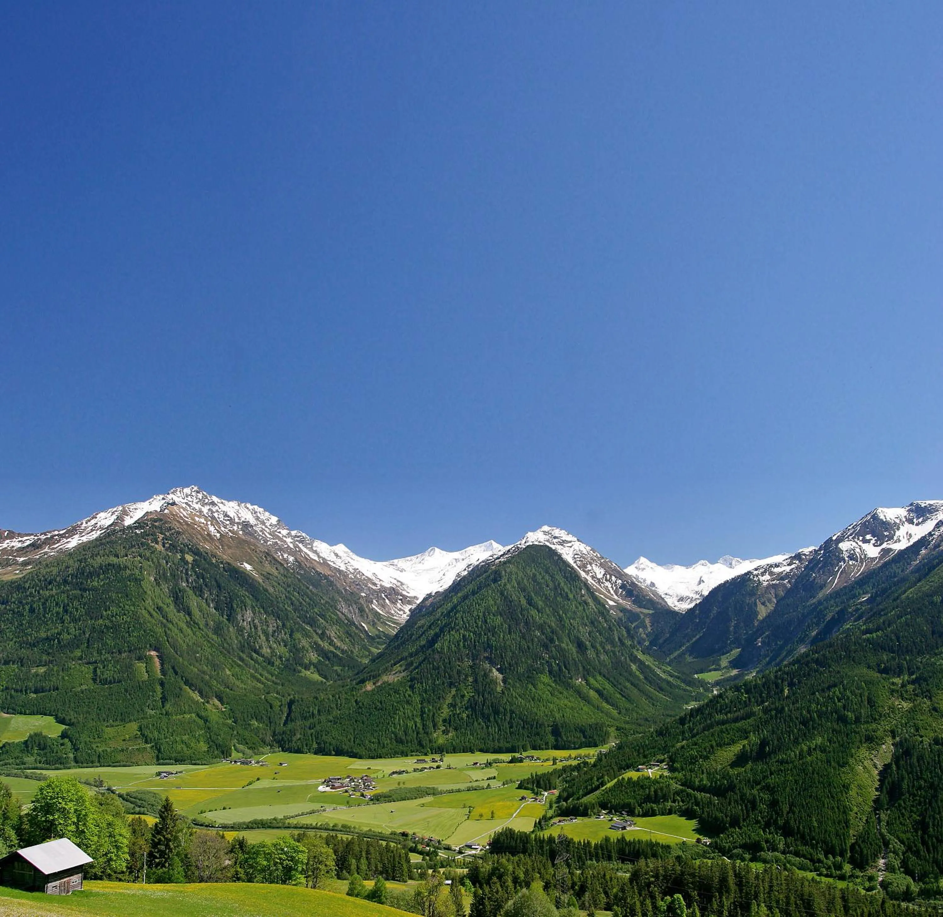Area and facilities in Hotel Gasthof Abelhof