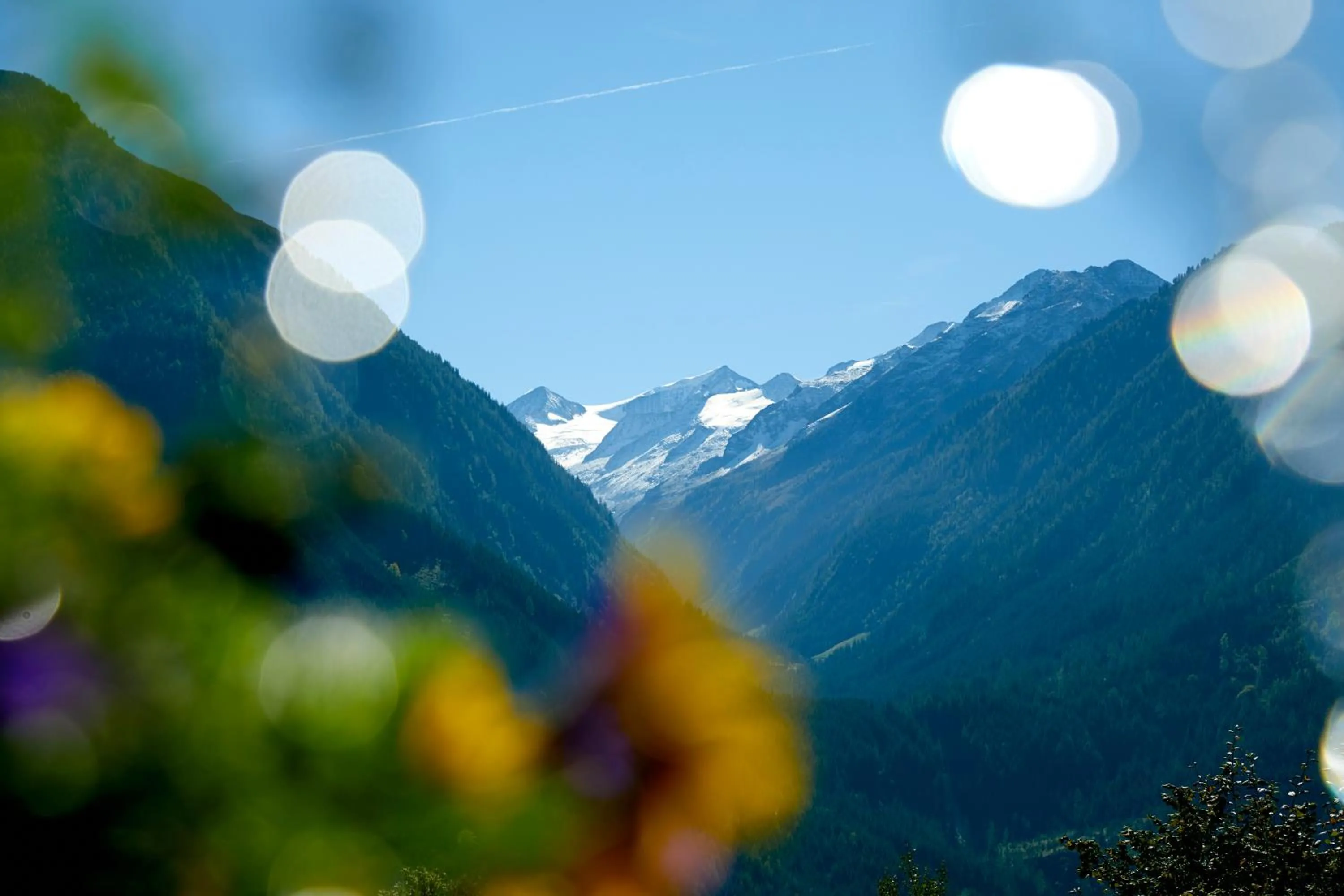 Natural landscape in Hotel Gasthof Abelhof