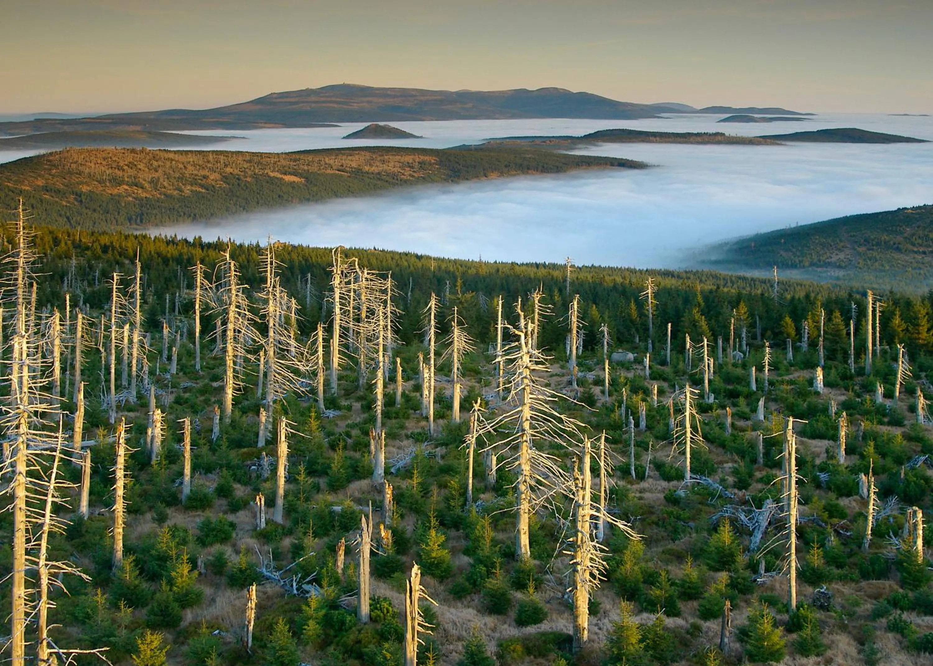Area and facilities in Horská chata Hubert