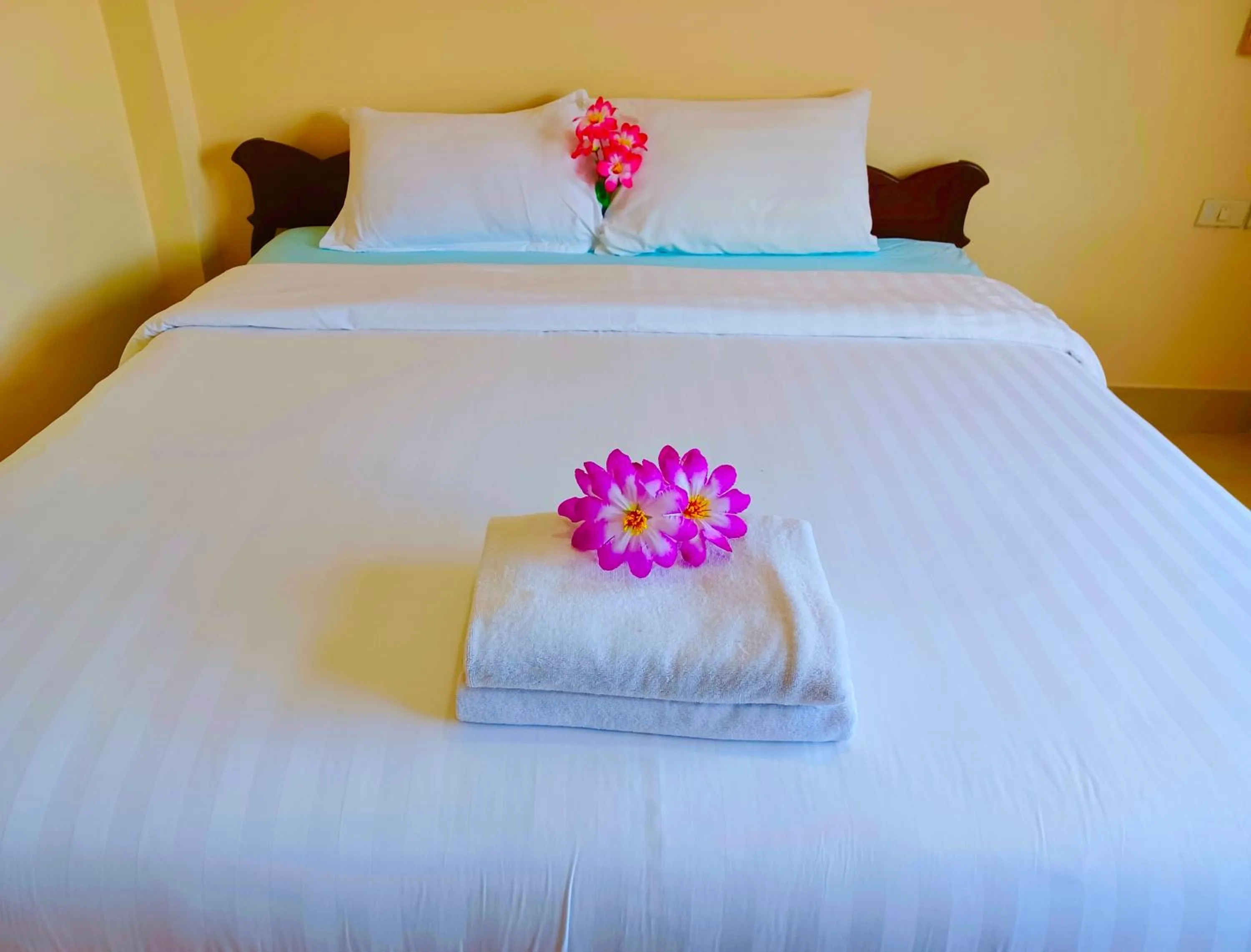 Happy Holidays Patong