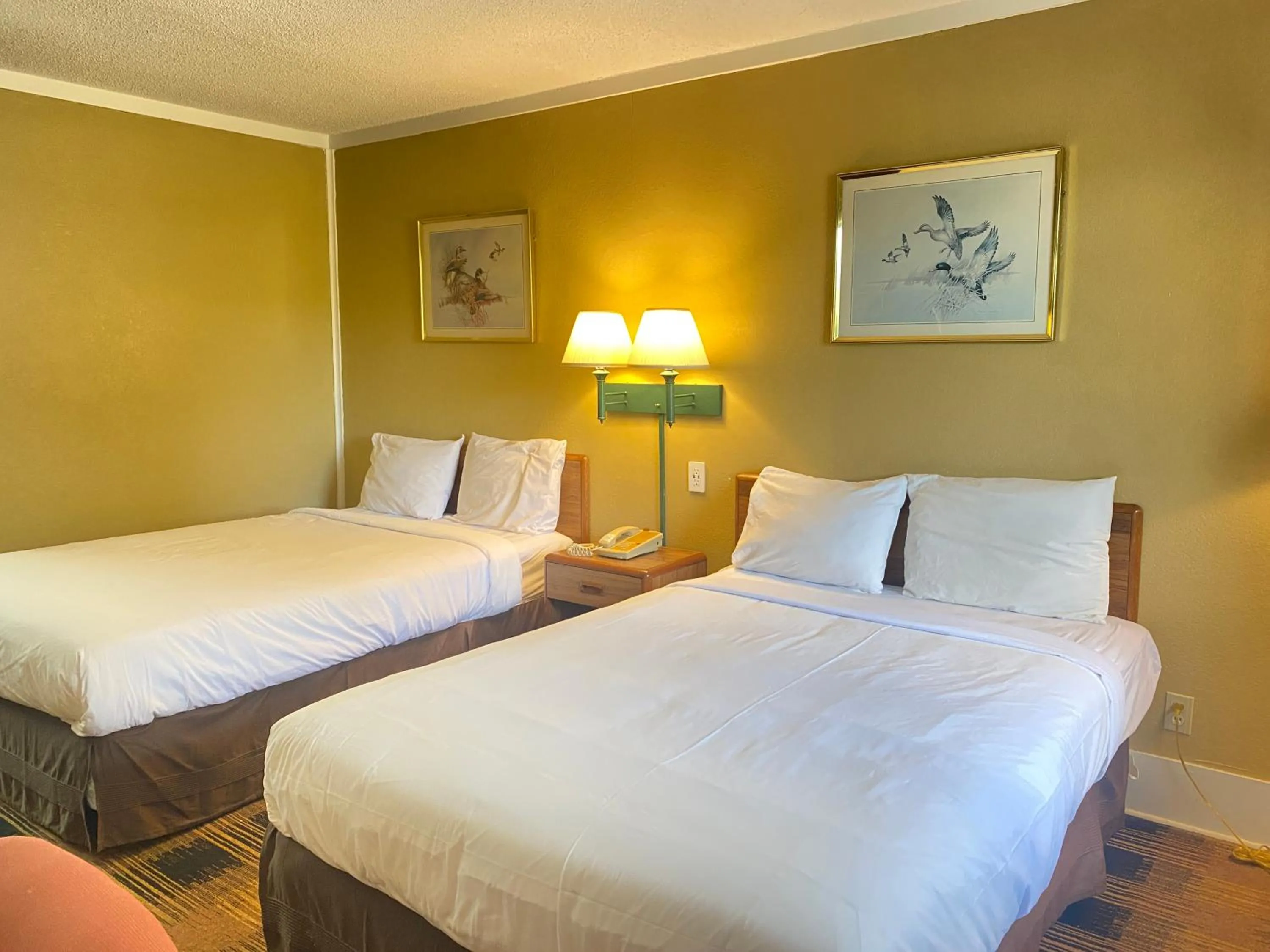 Bed in Smokies Inn - New Linens & Ultrafast WIFI - Friendliest Hospitality Guaranteed!