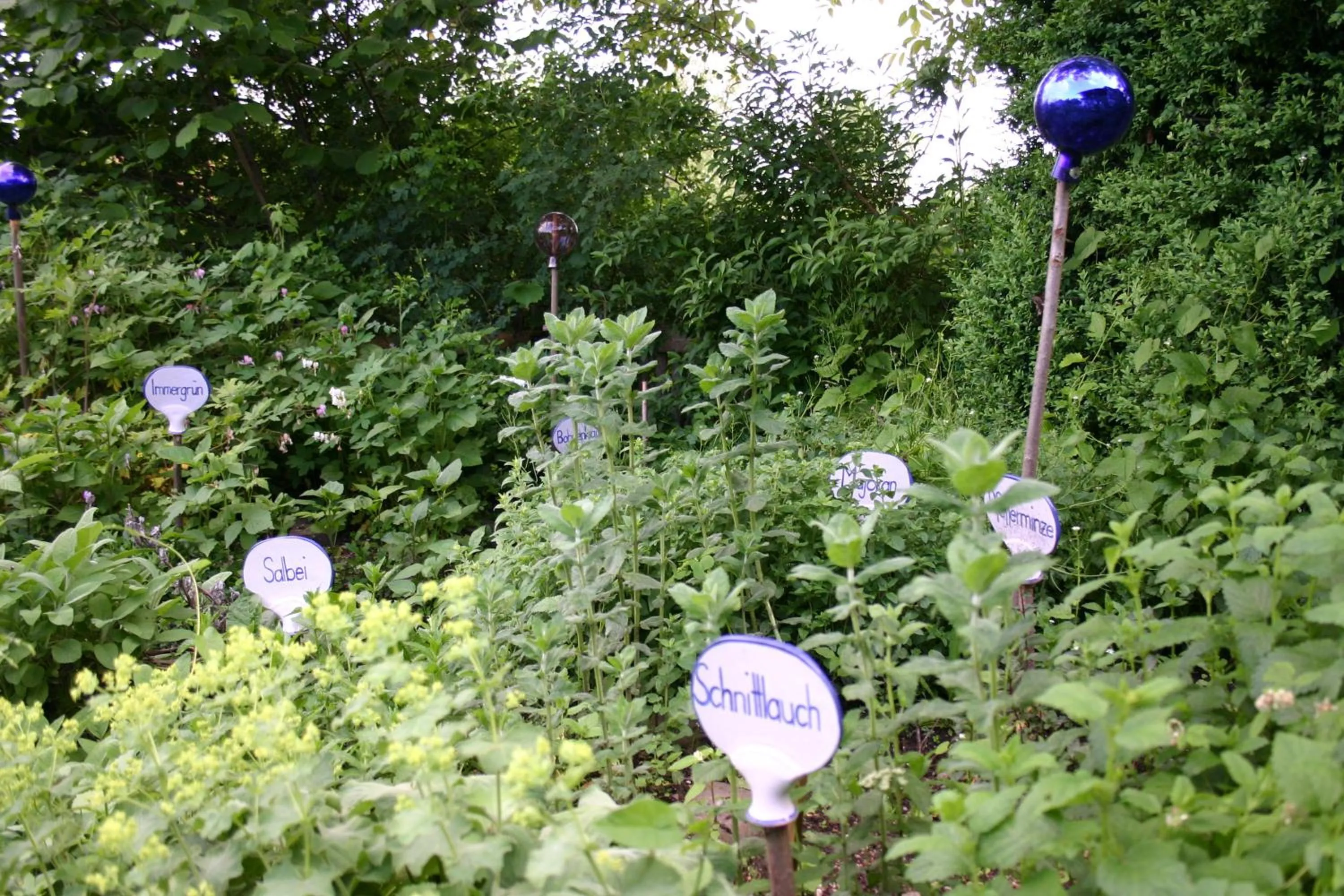 Other in Beim Huber in Linden