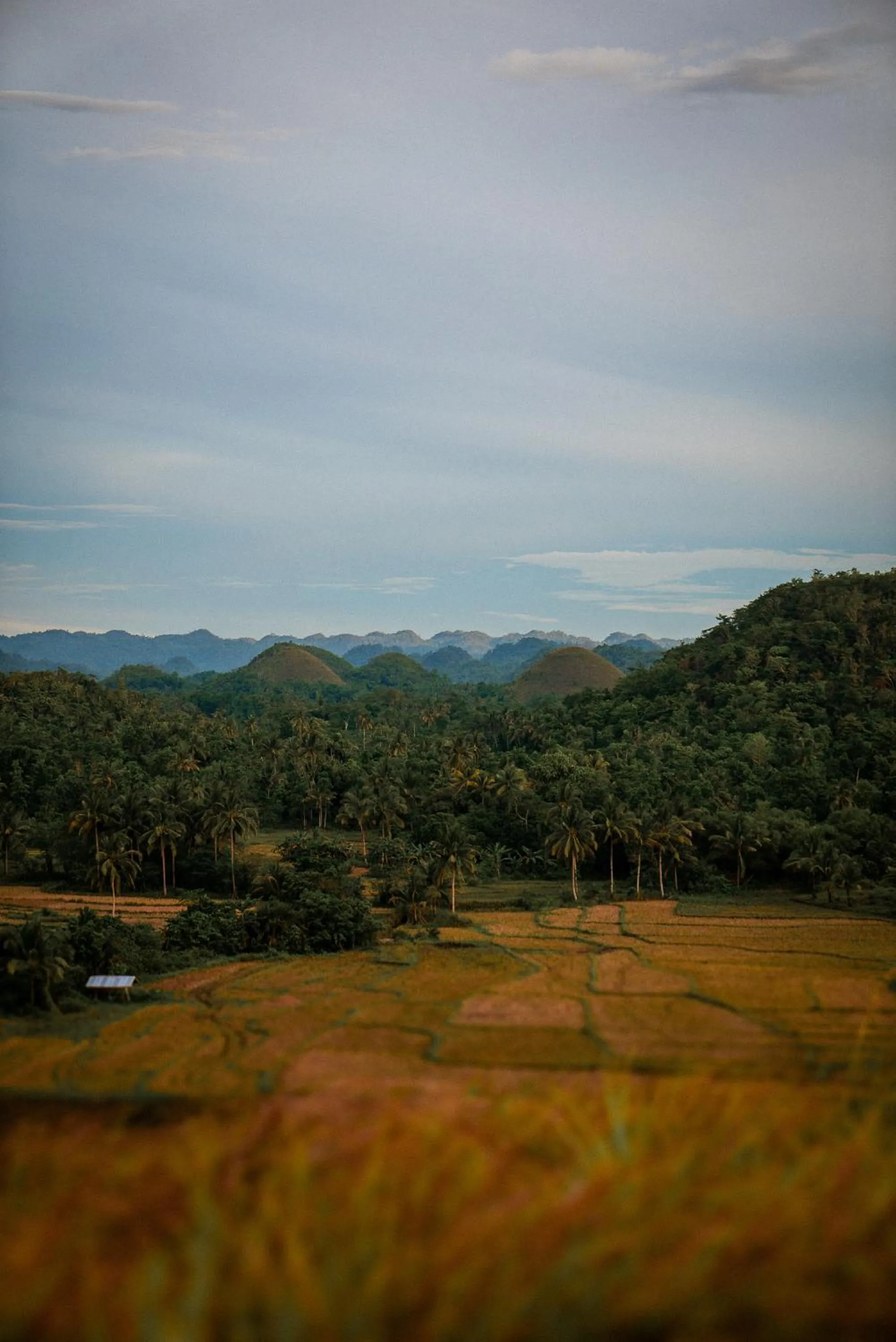 CASA AGUELO Chocolate Hills