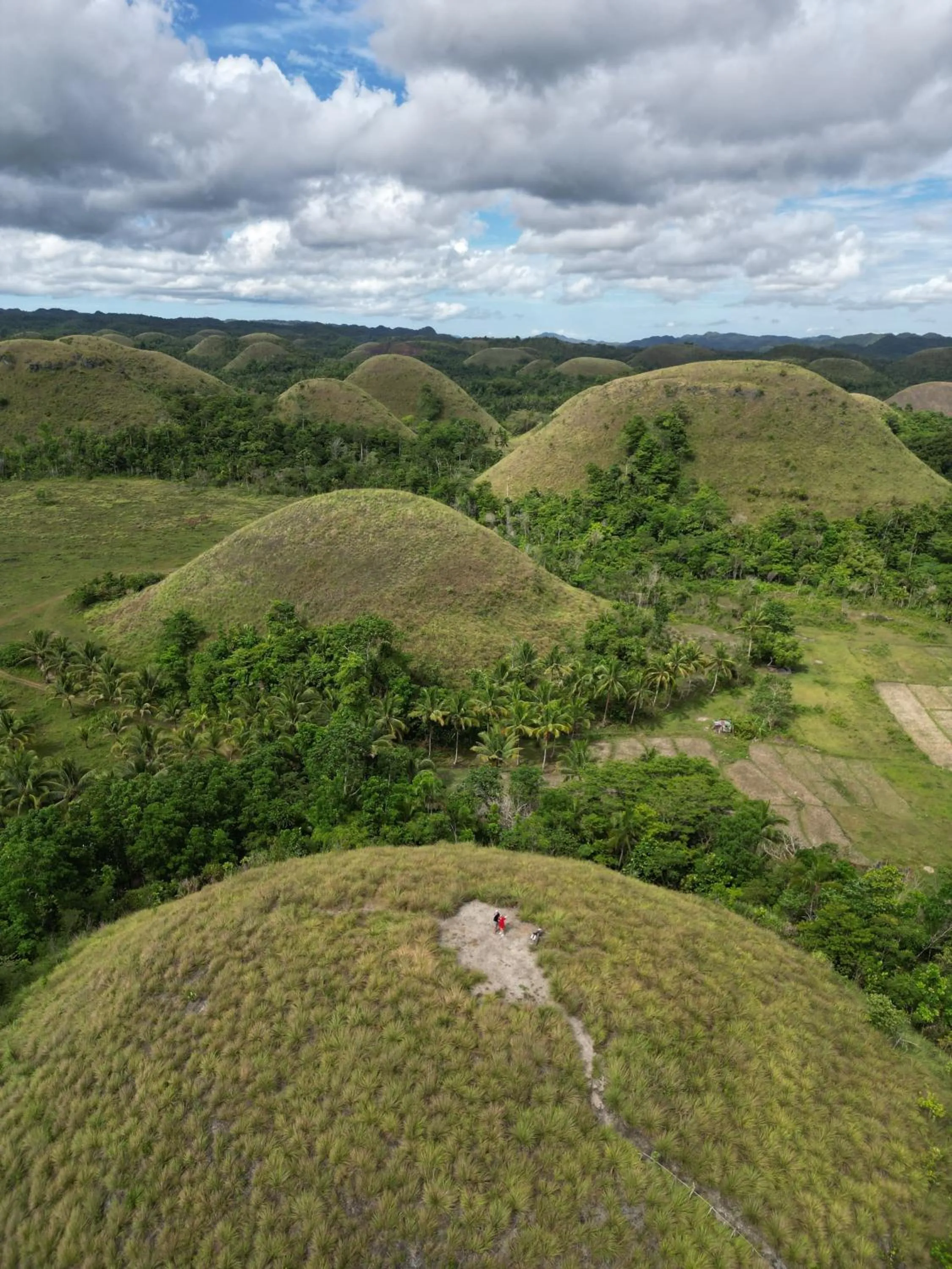CASA AGUELO Chocolate Hills