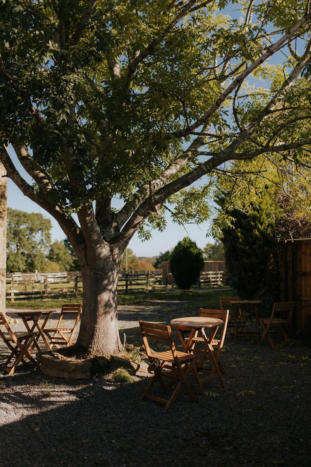 Natural landscape in Runa Farm