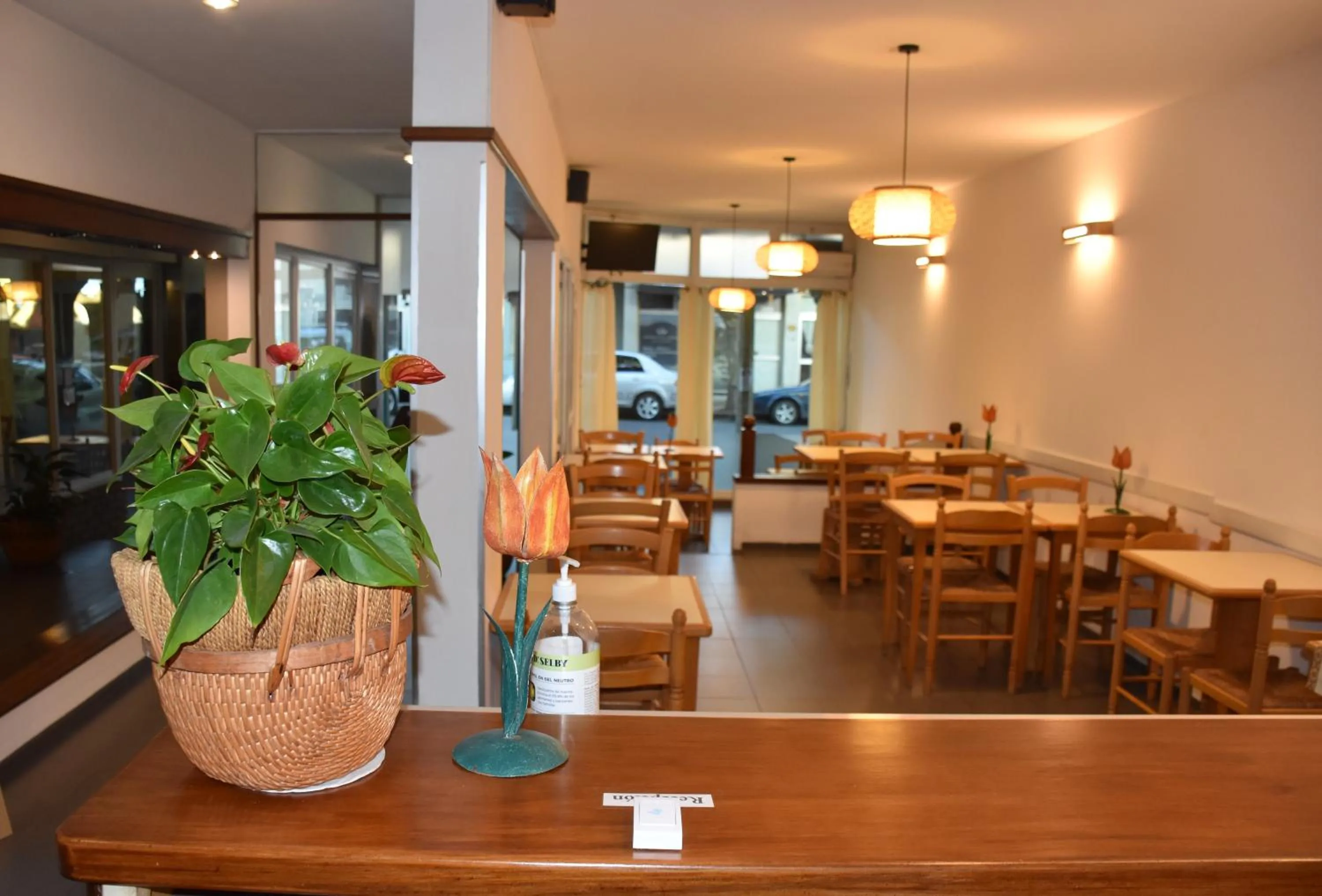Hotel Sol Colonia