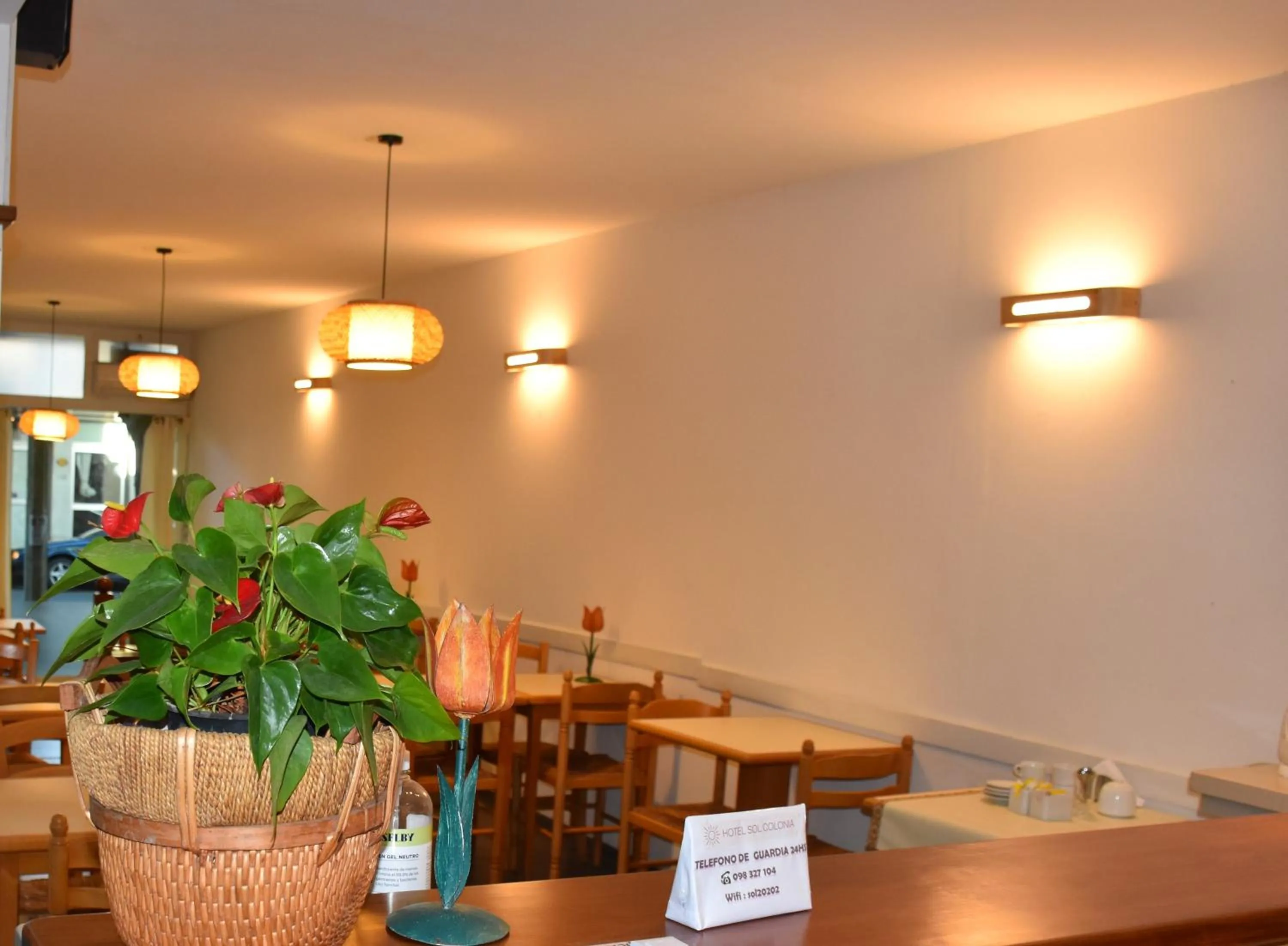 Hotel Sol Colonia