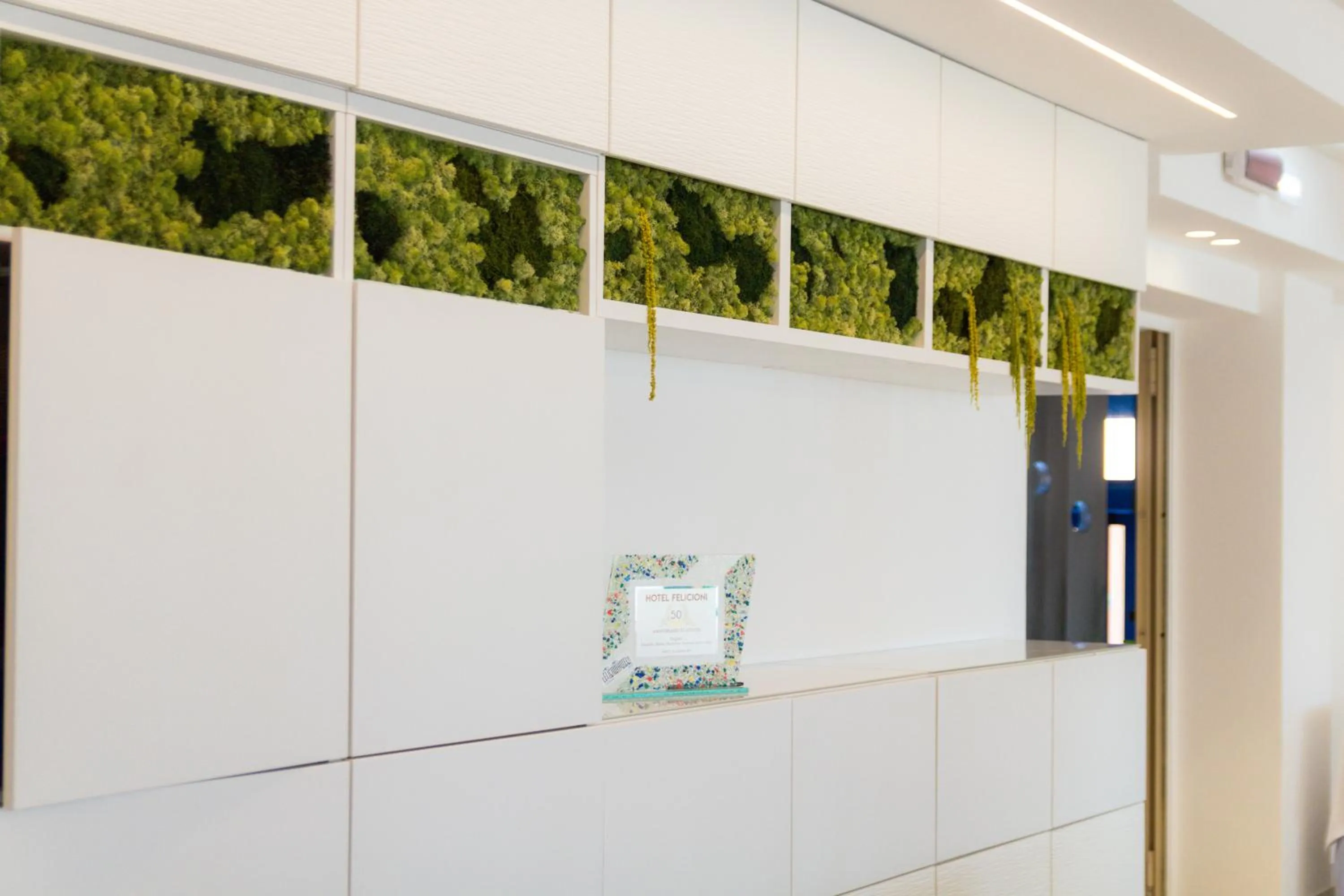 Kitchen or kitchenette in Hotel Felicioni