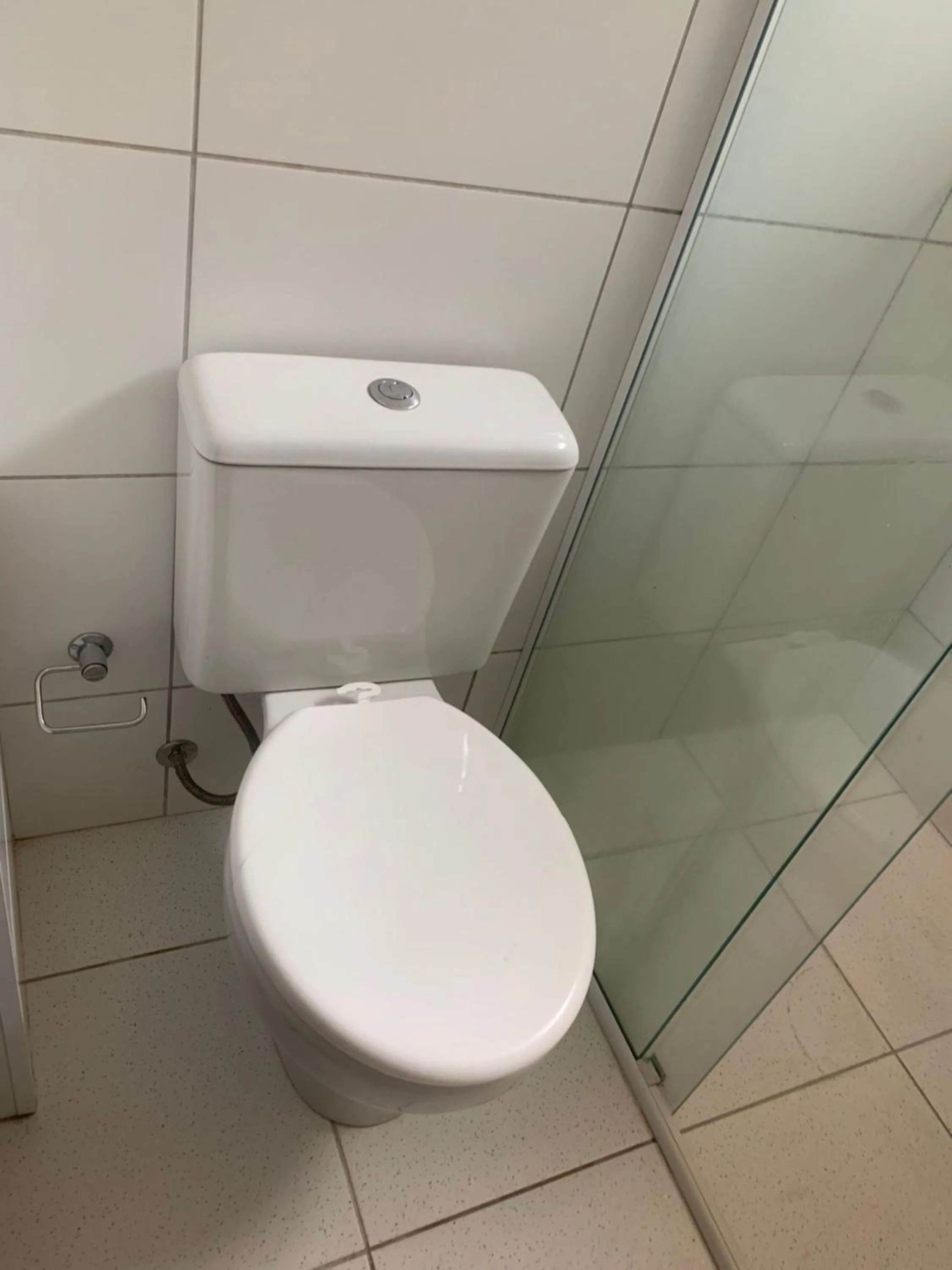 Toilet in Hotel Barão Ribeirão