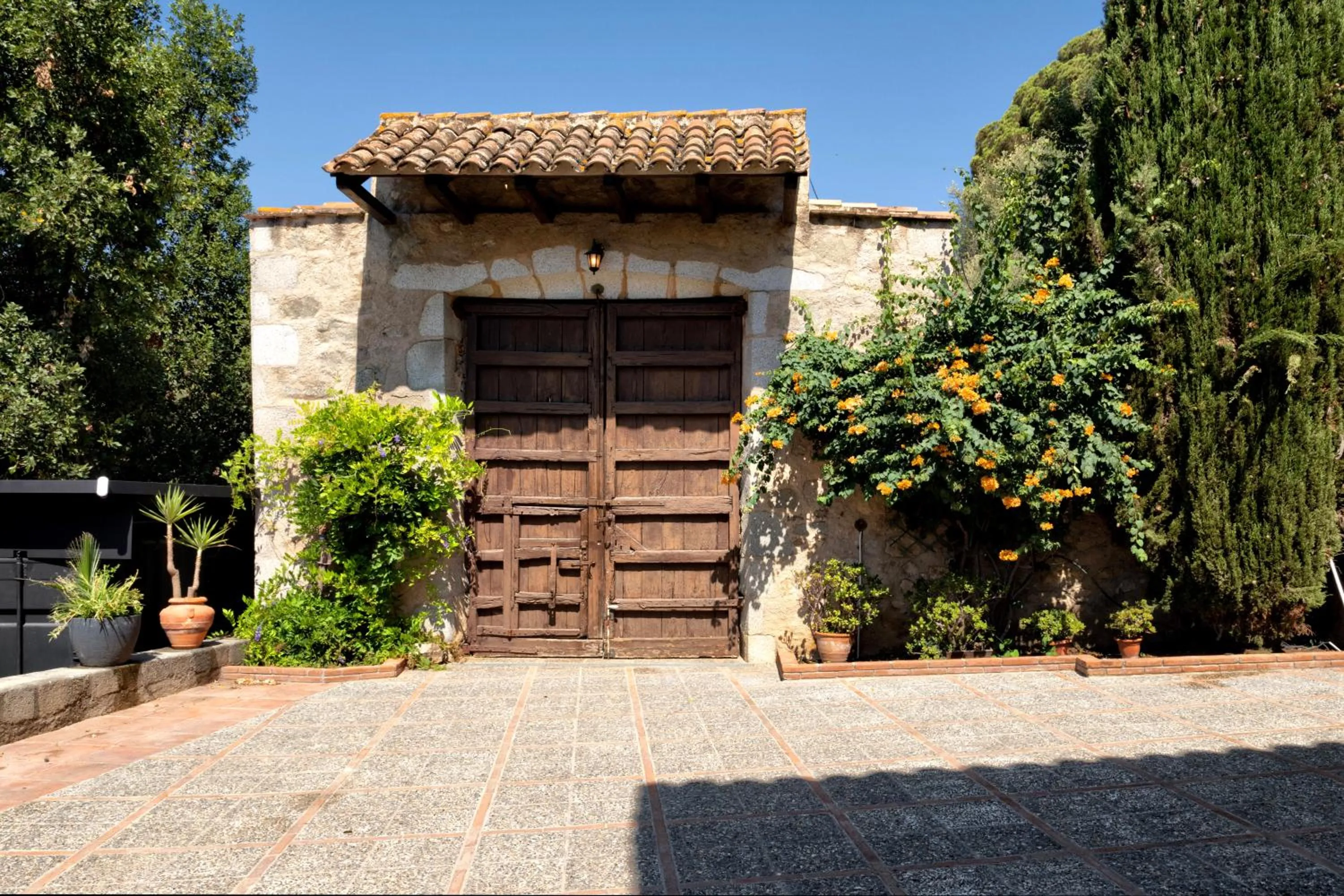 Garden in La Mer Hotel