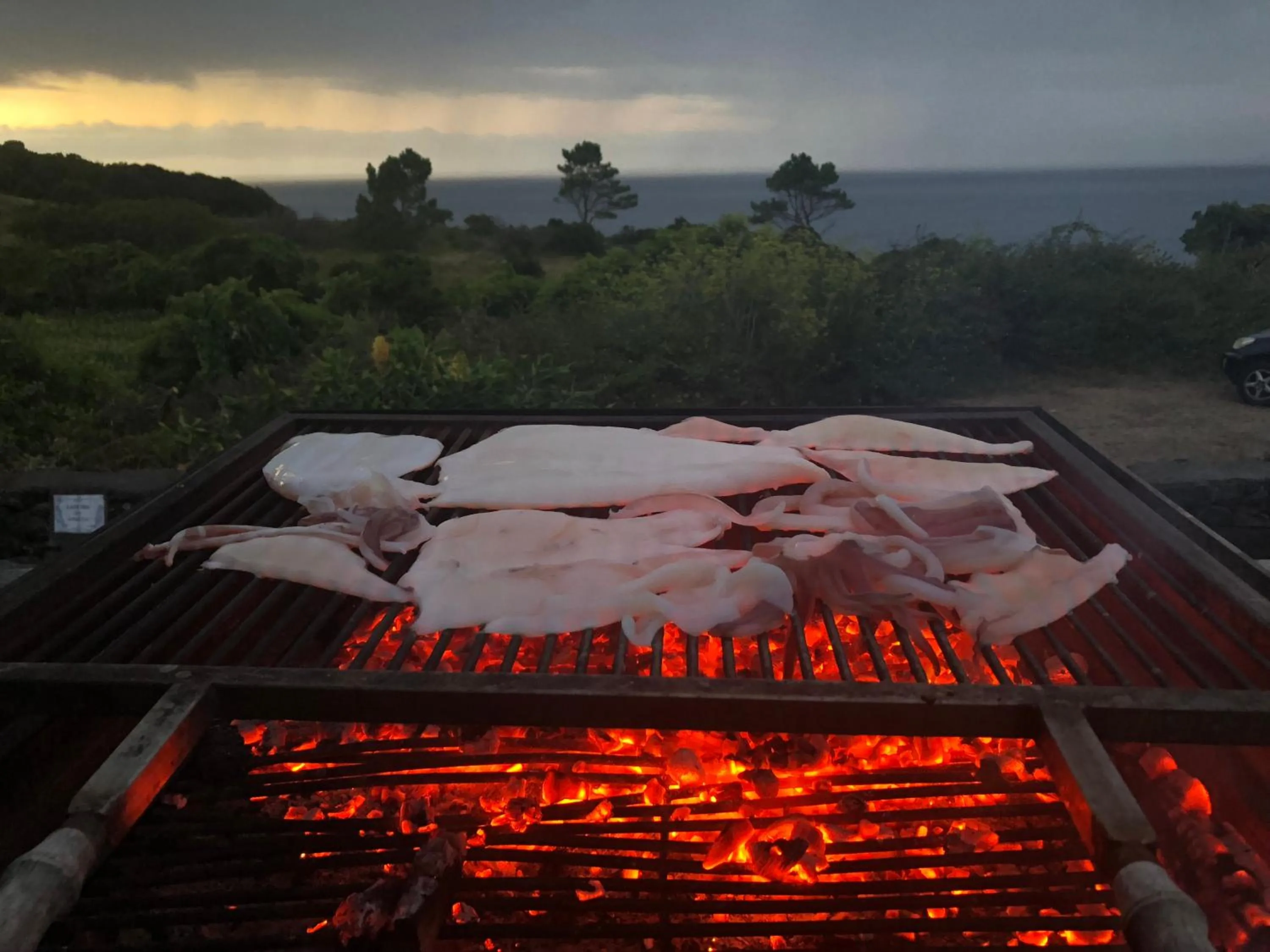 BBQ facilities in Casas das Portas do Mar e das Portas do Sol