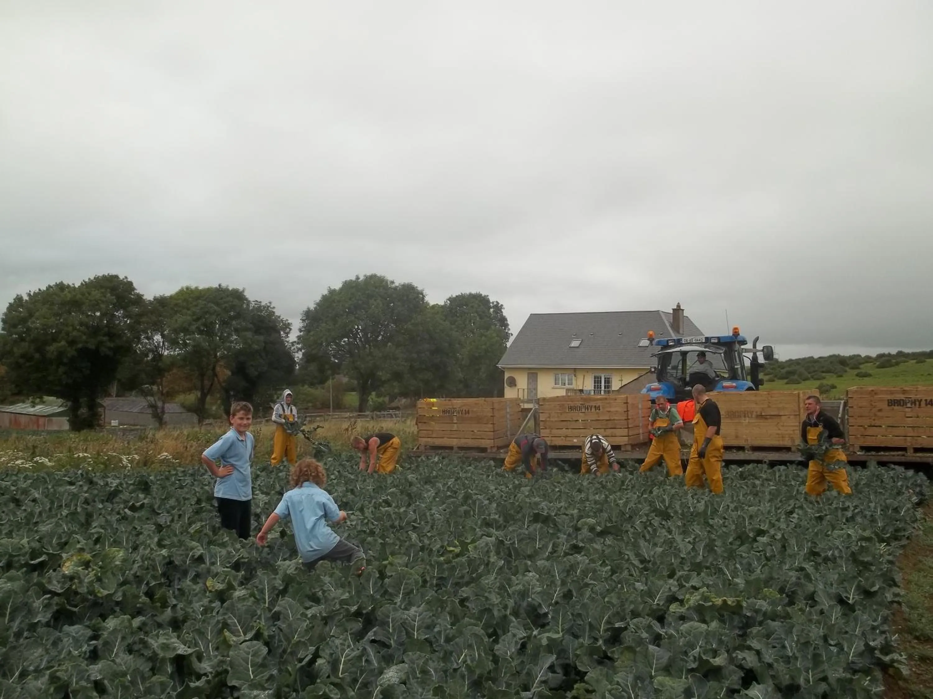 young children in The Curragh Country House Accommodation