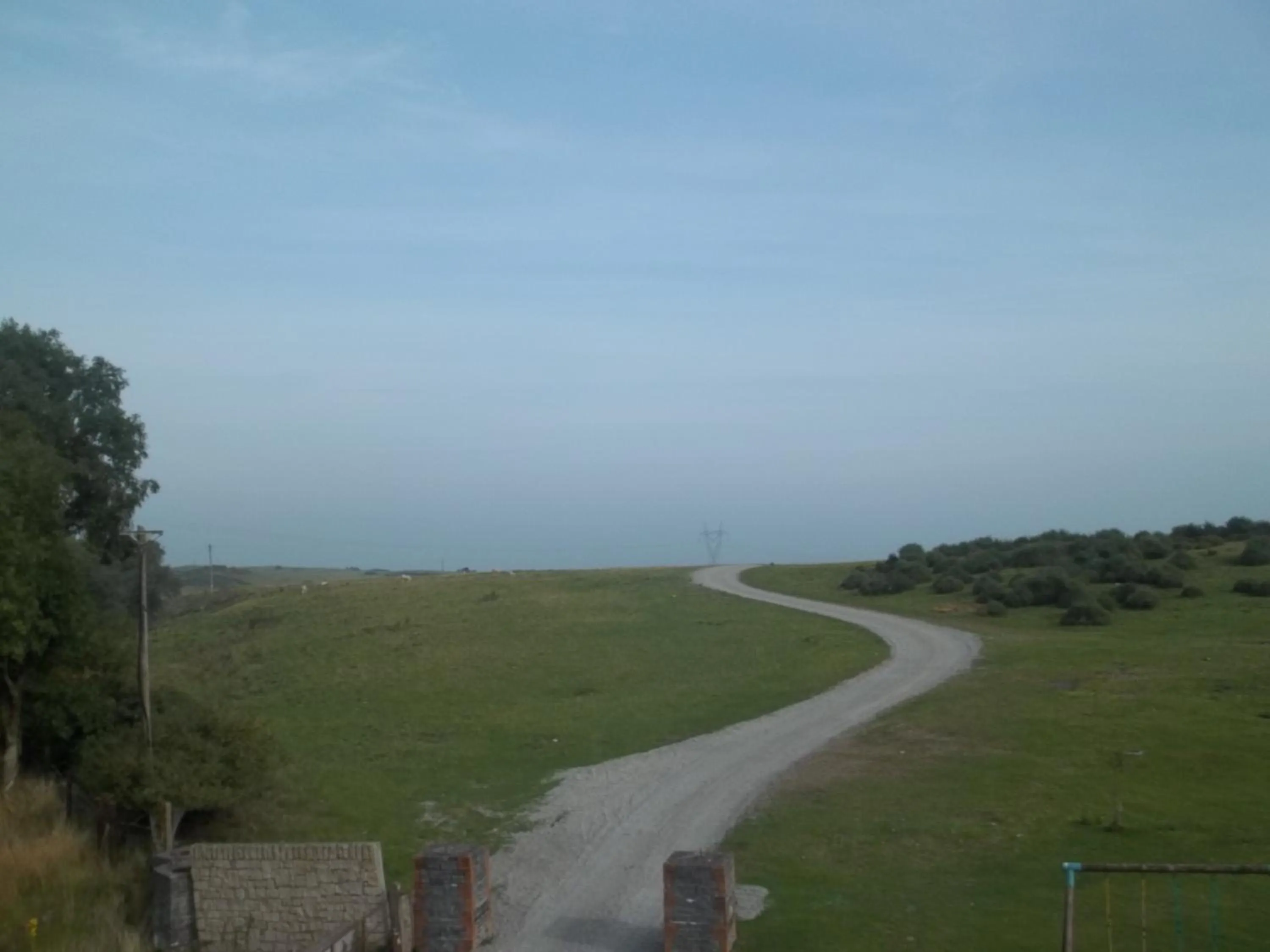 Garden view in The Curragh Country House Accommodation