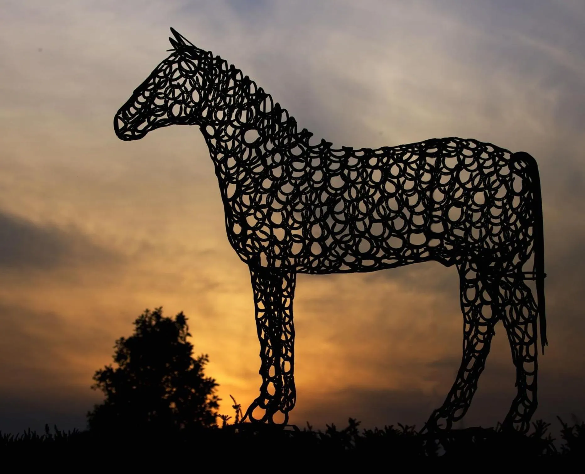 Restaurant/places to eat in The Curragh Country House Accommodation