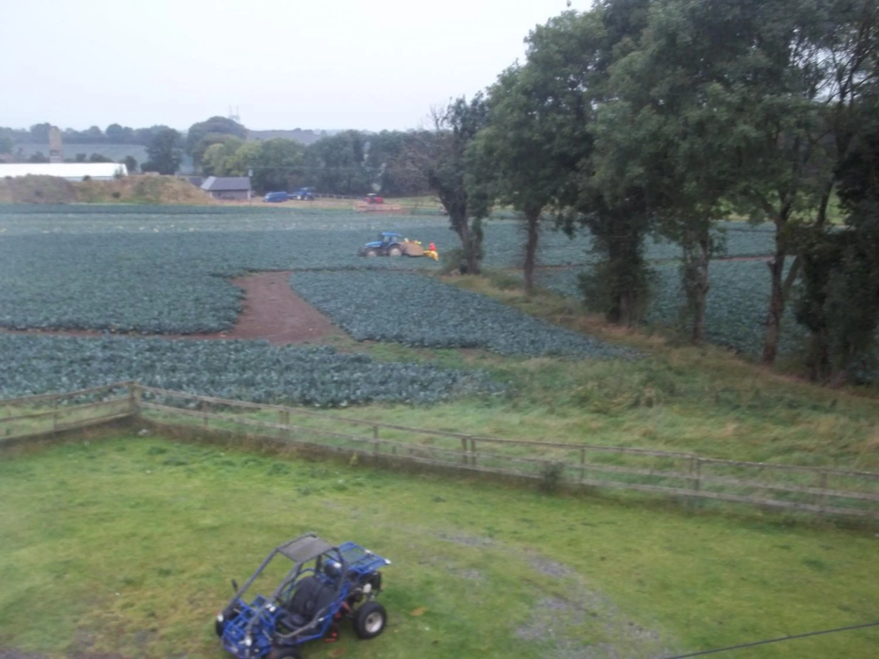 Garden in The Curragh Country House Accommodation