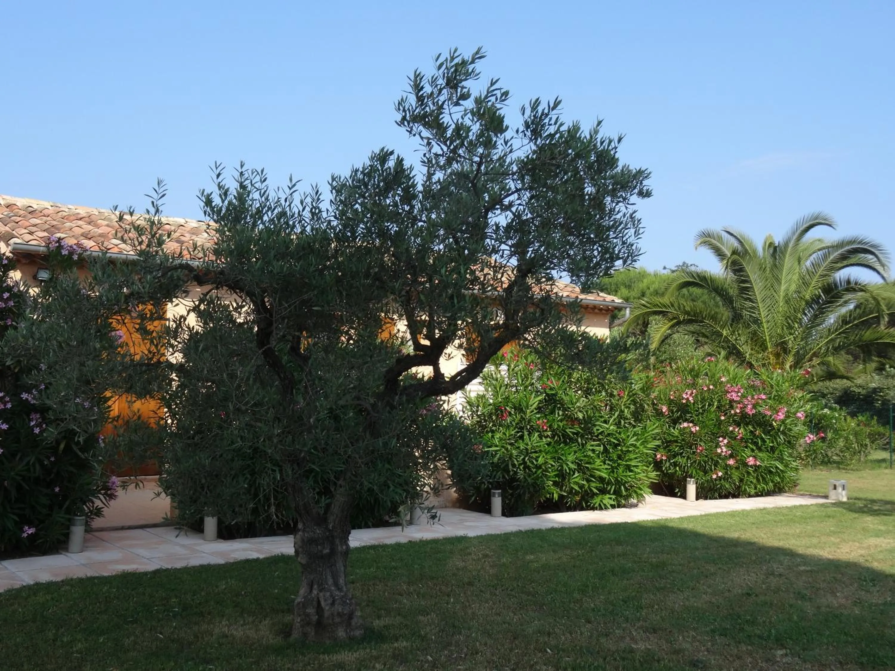 Garden view in Chambres d'hôtes Villa Alizé