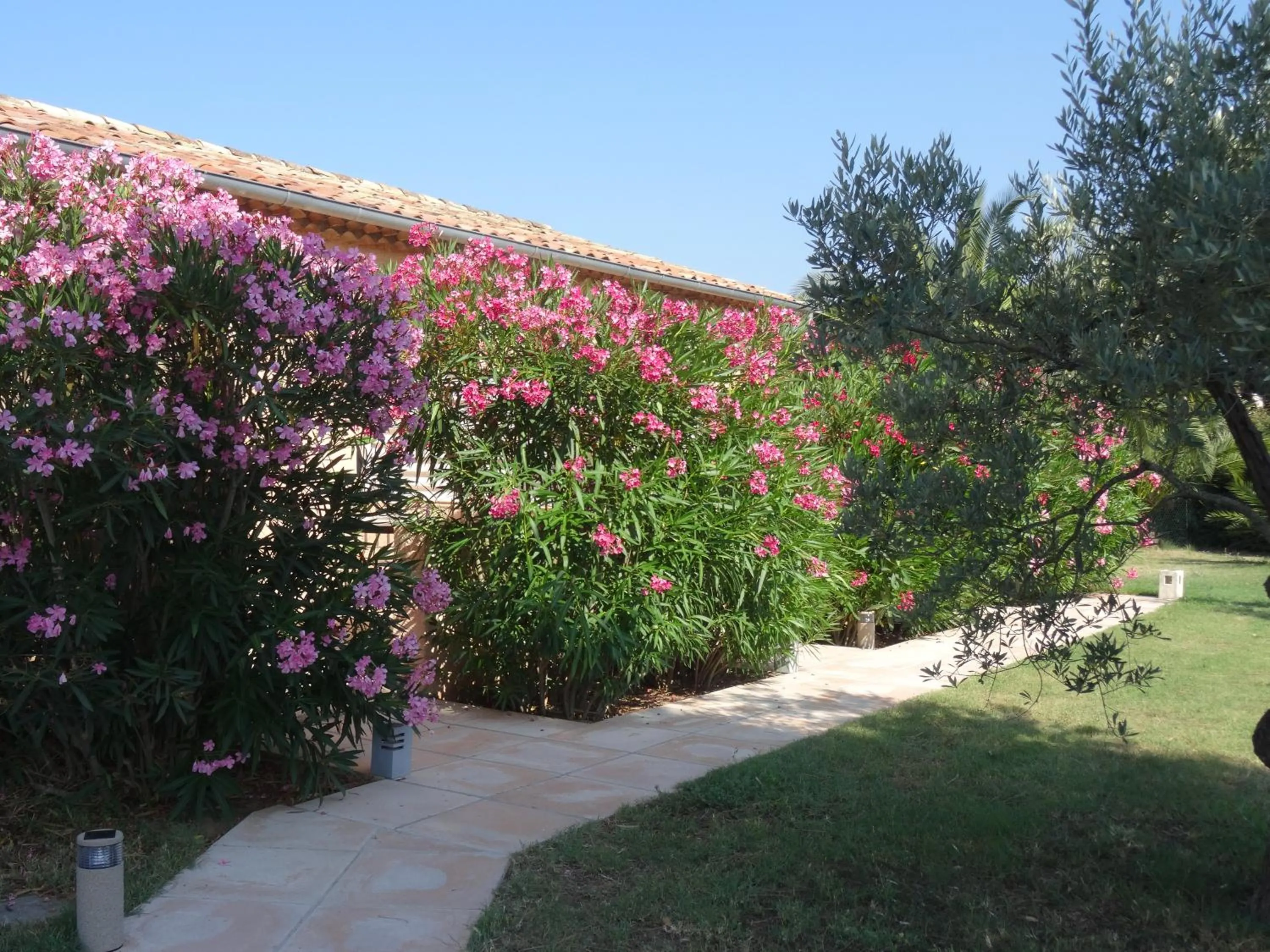 Facade/entrance in Chambres d'hôtes Villa Alizé