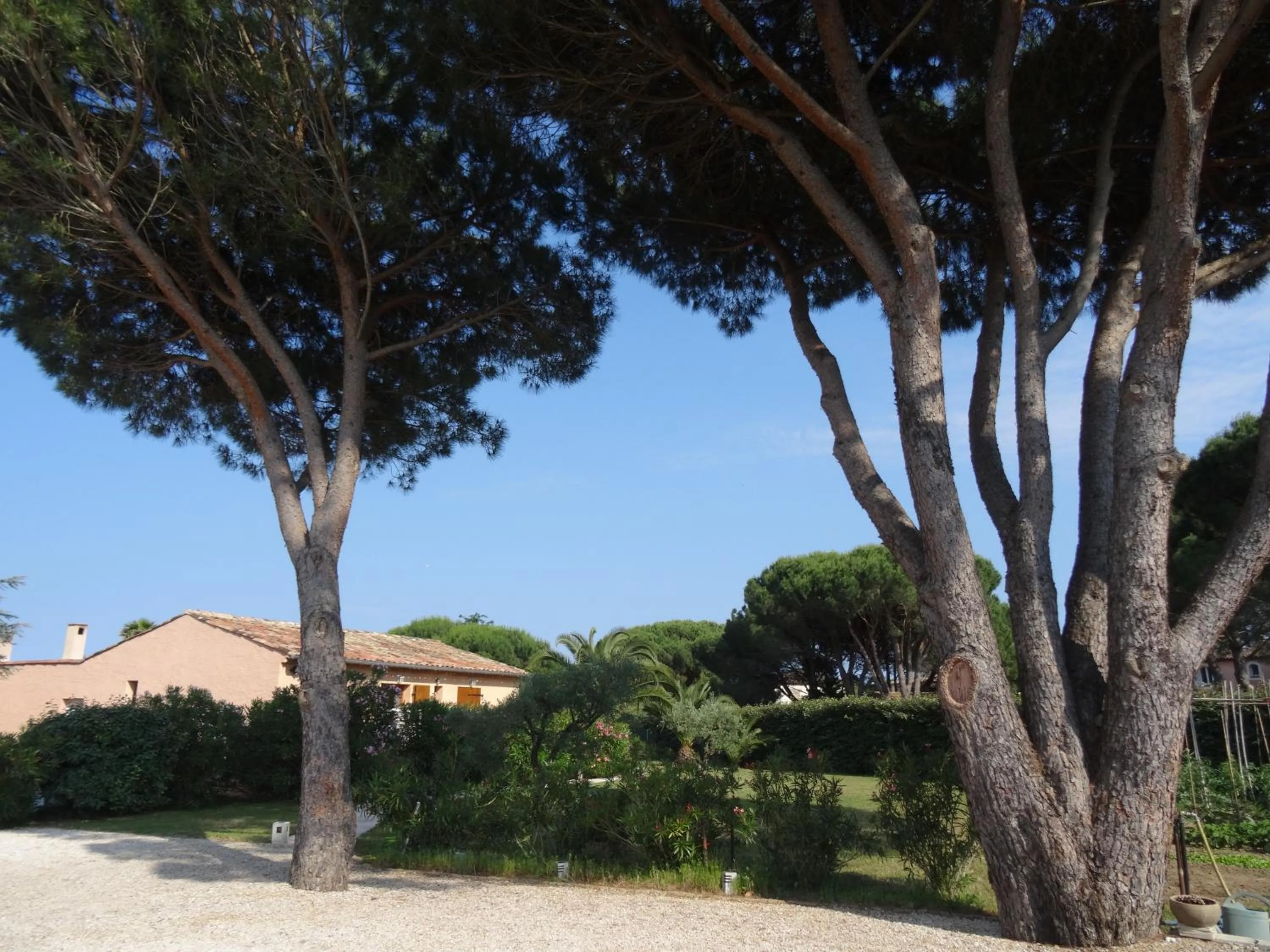 Facade/entrance in Chambres d'hôtes Villa Alizé