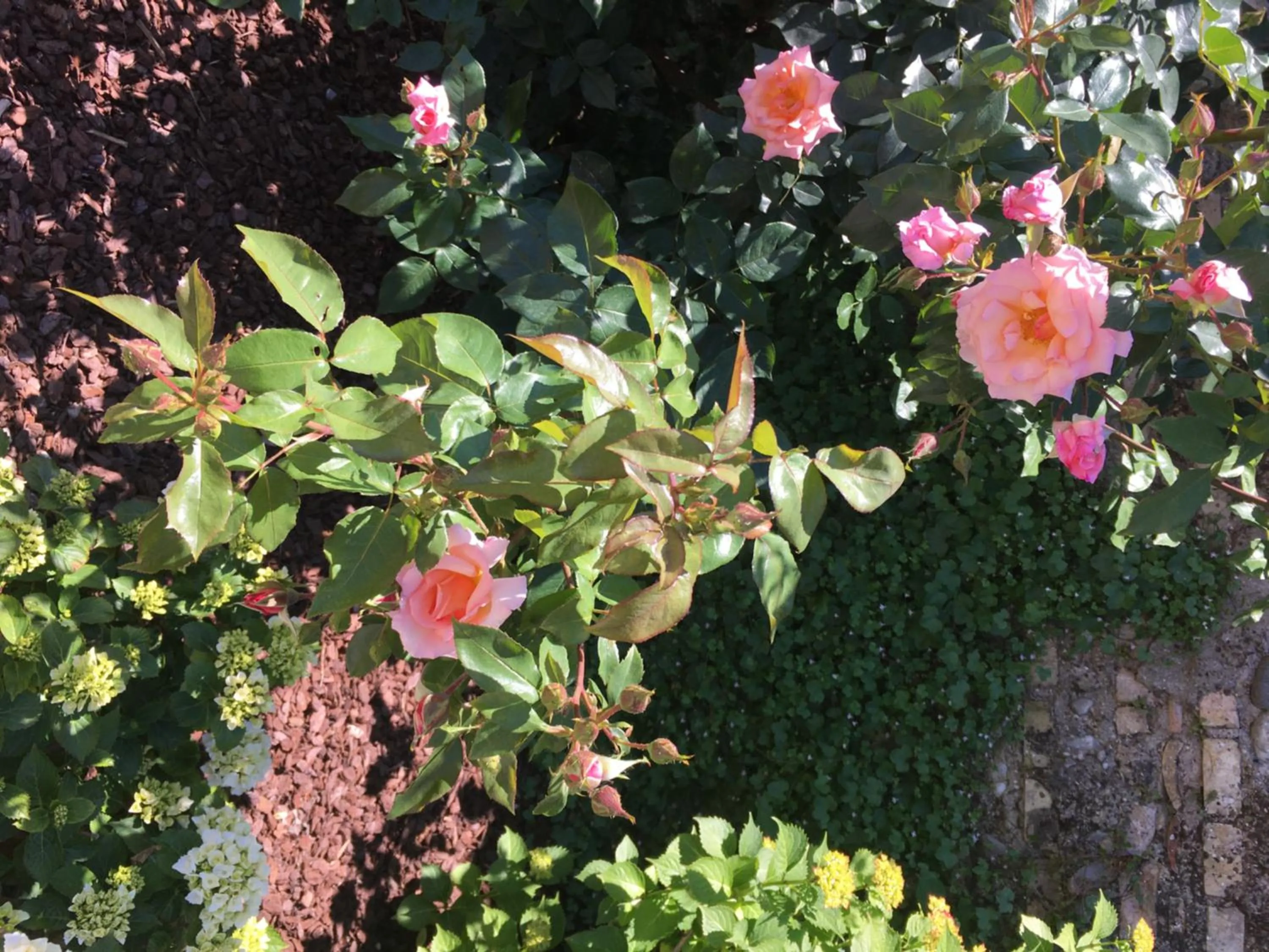 Summer in Palazzo Strassoldo bed & breakfast