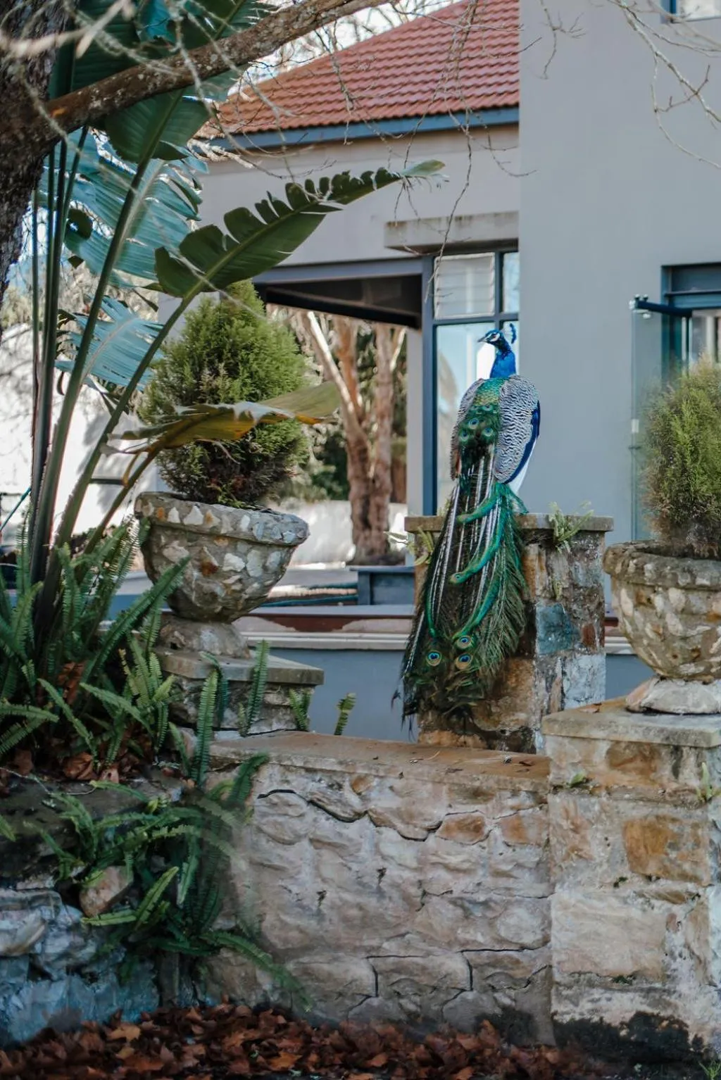 Day in The Hawthorn Boutique Hotel