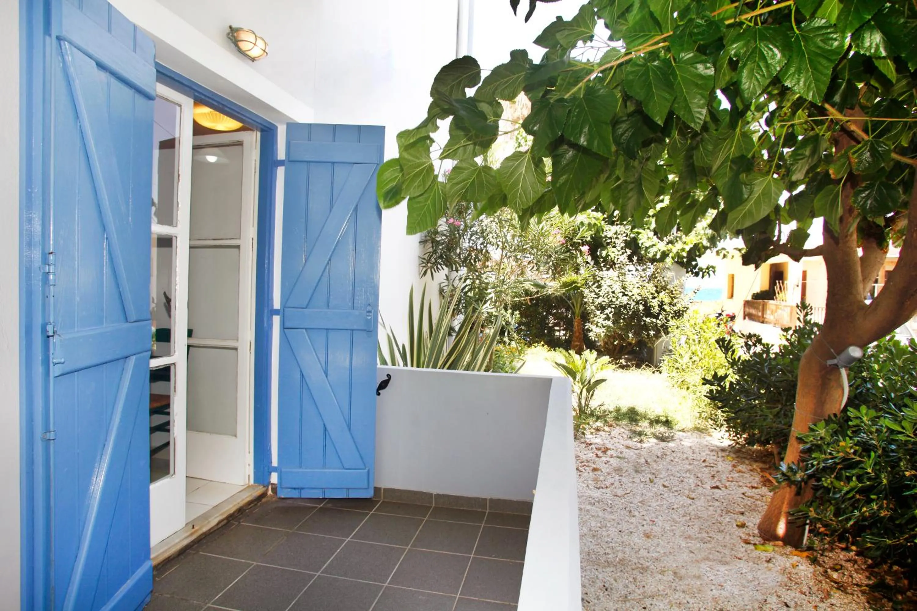 Studios Vasilis