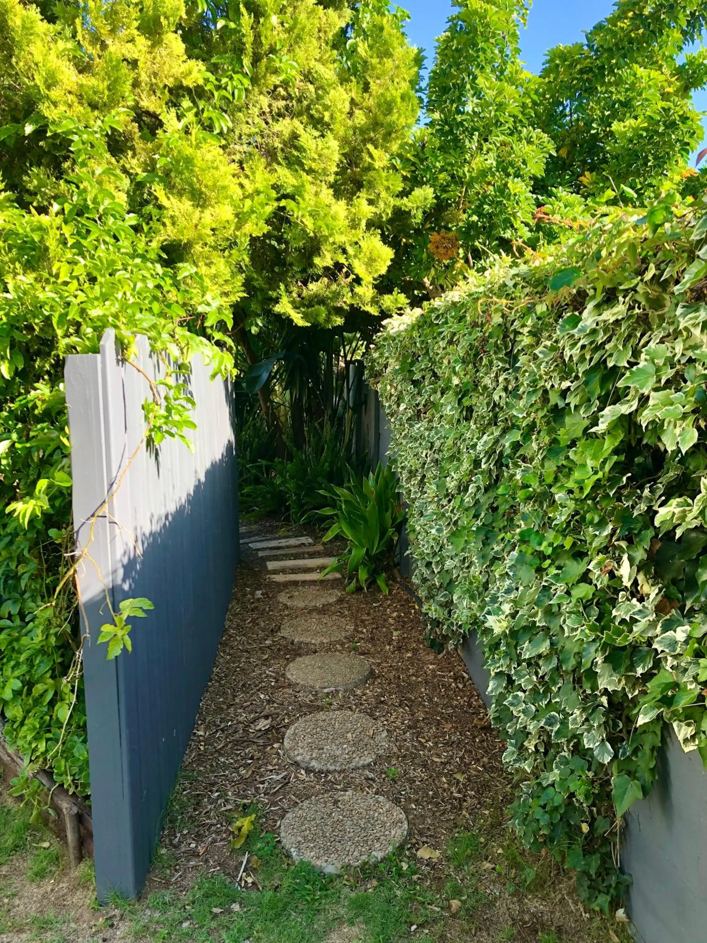 Garden in Pelican Lodge Guesthouse