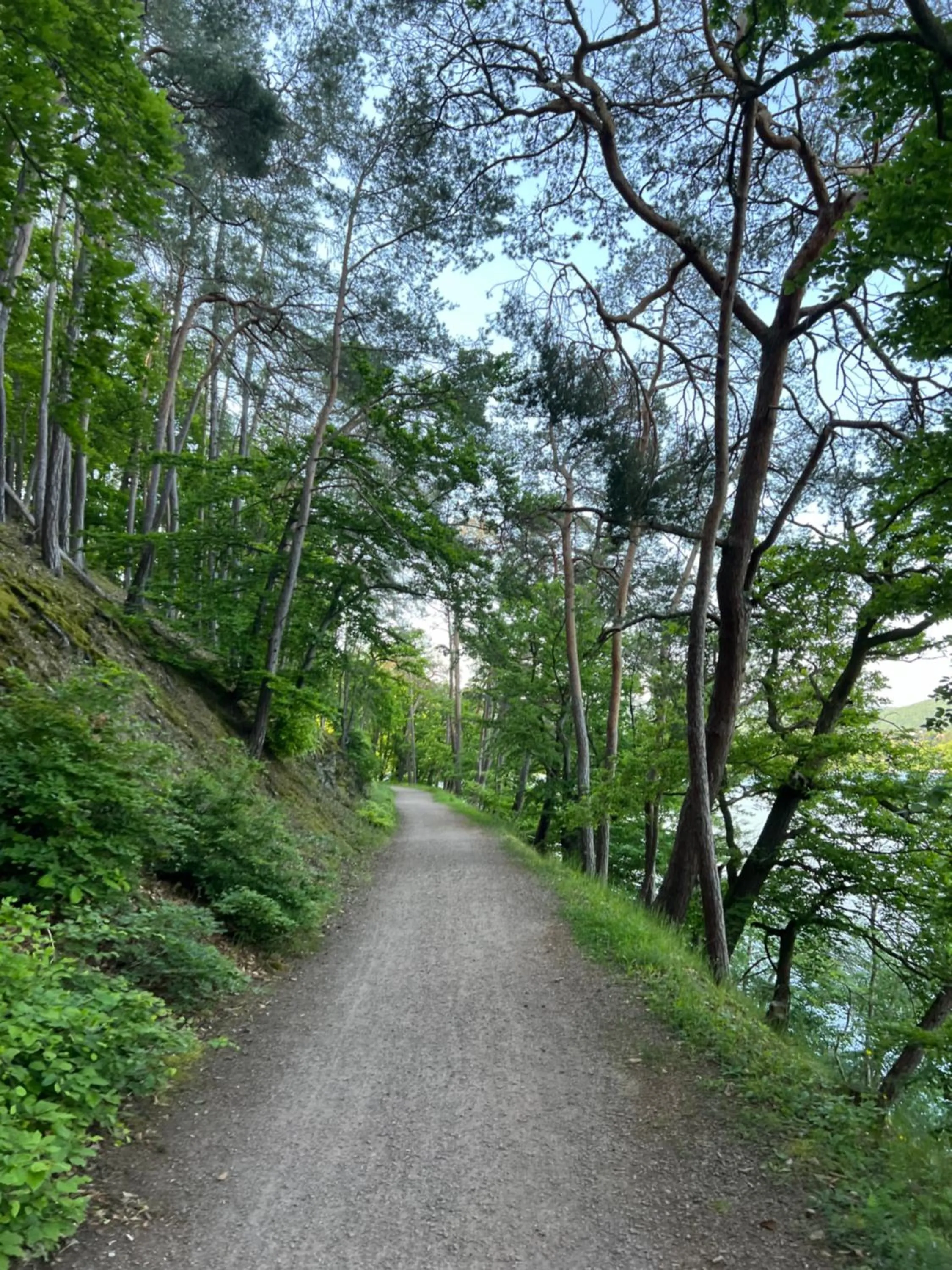 Bergschlösschen Edersee