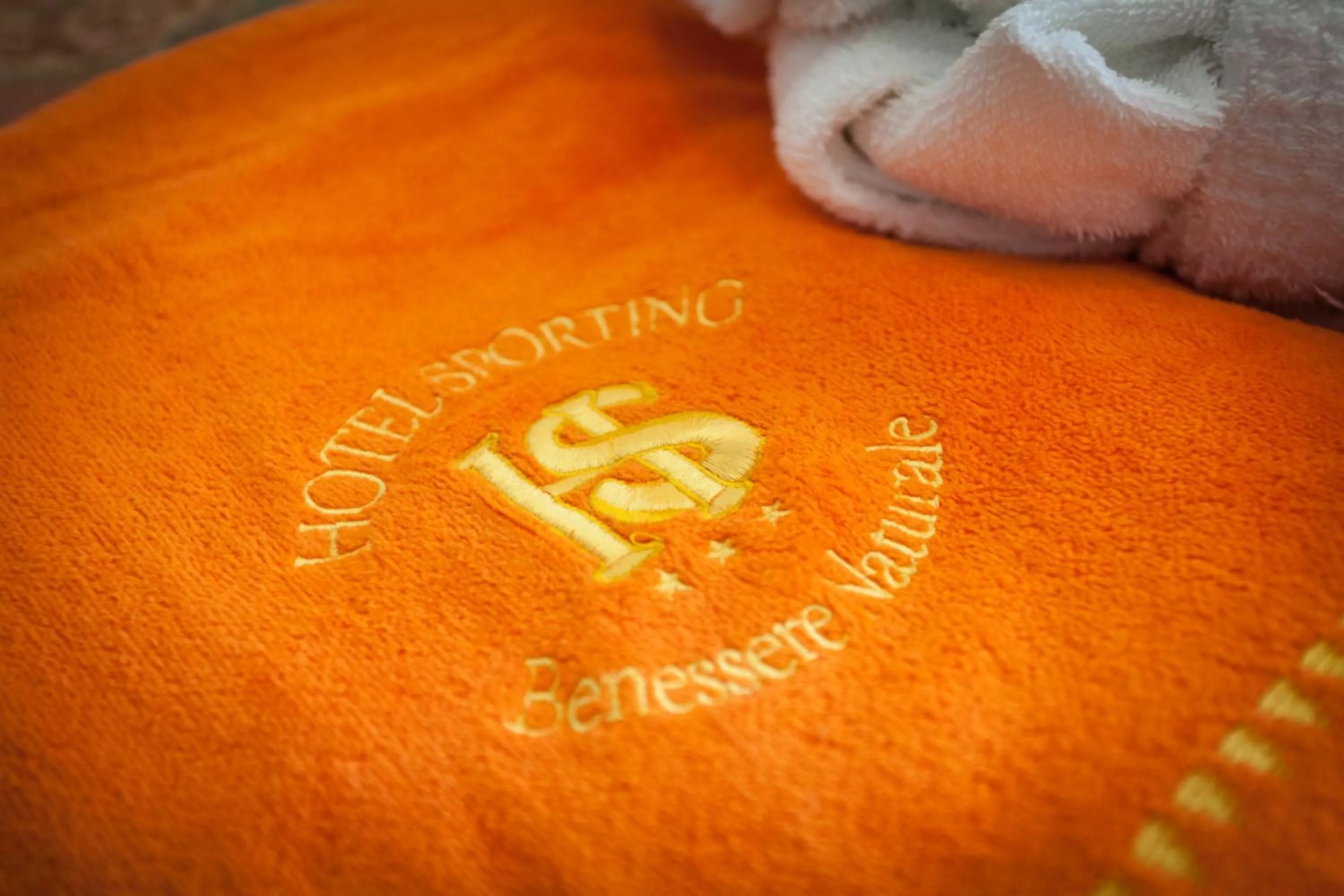 Property logo or sign in Hotel Sporting