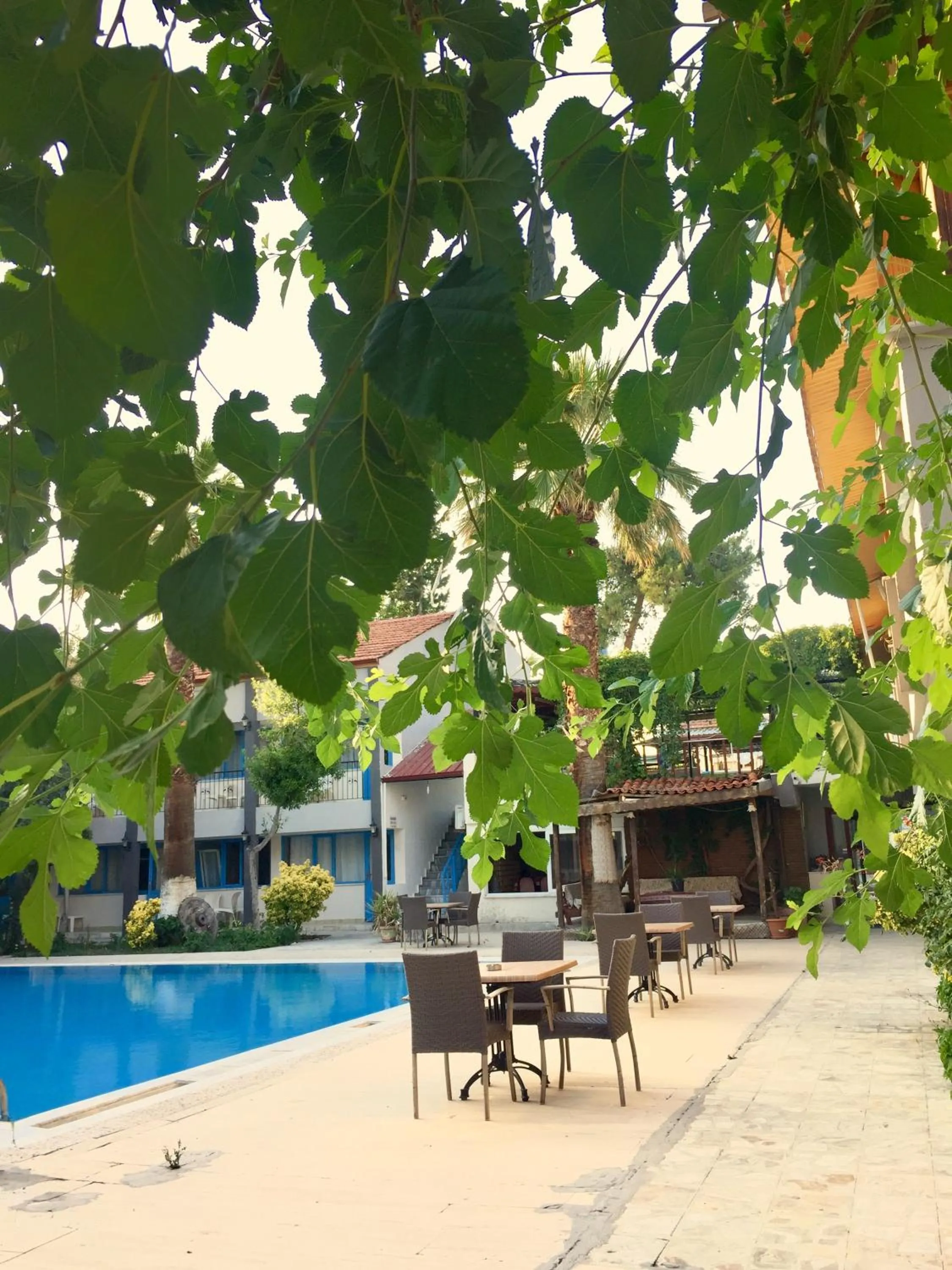 Garden view in ARTEMİS YÖRÜK OTEL OLD TOWN PAMUKKALE