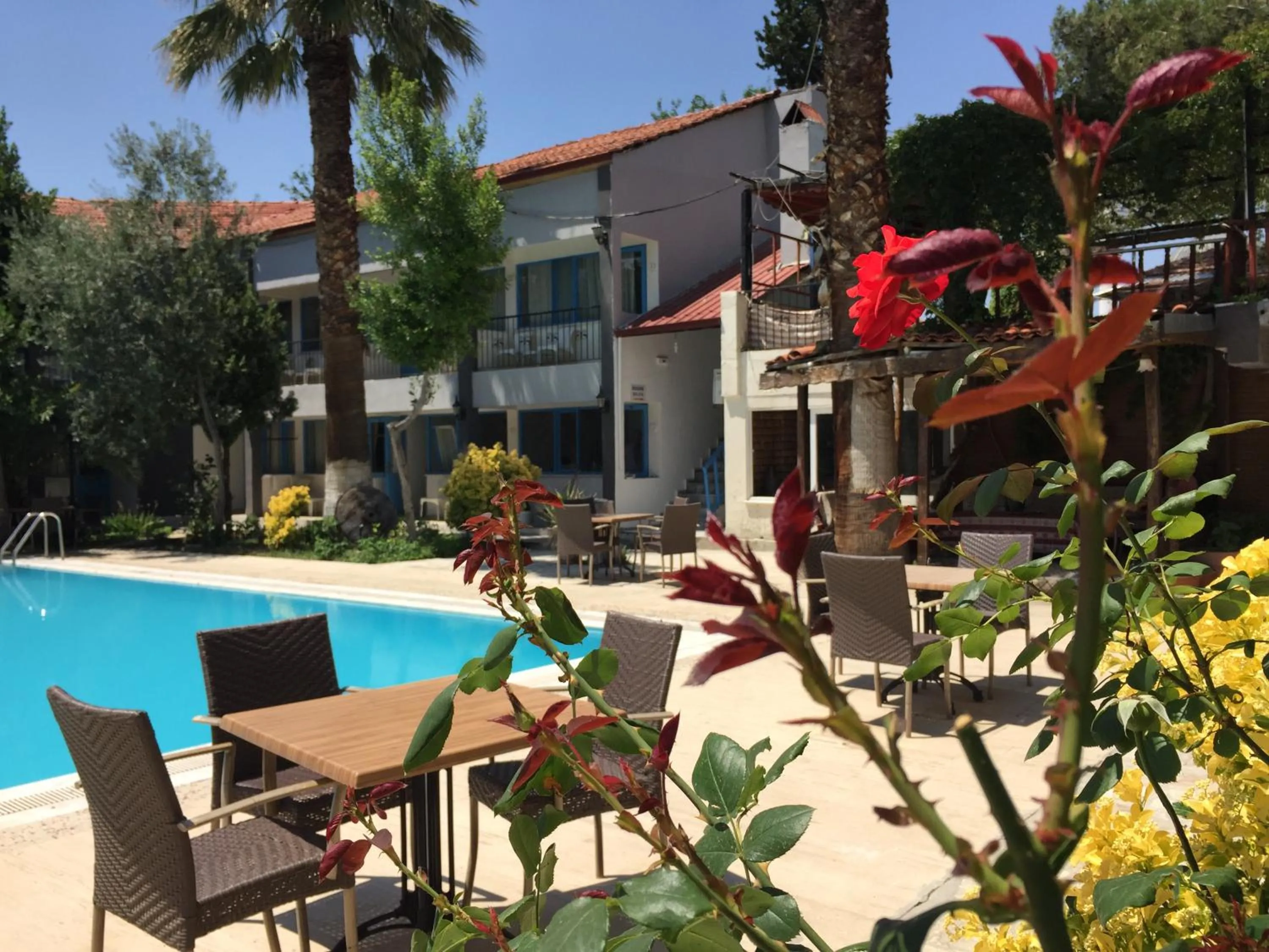 Garden view in ARTEMİS YÖRÜK OTEL OLD TOWN PAMUKKALE