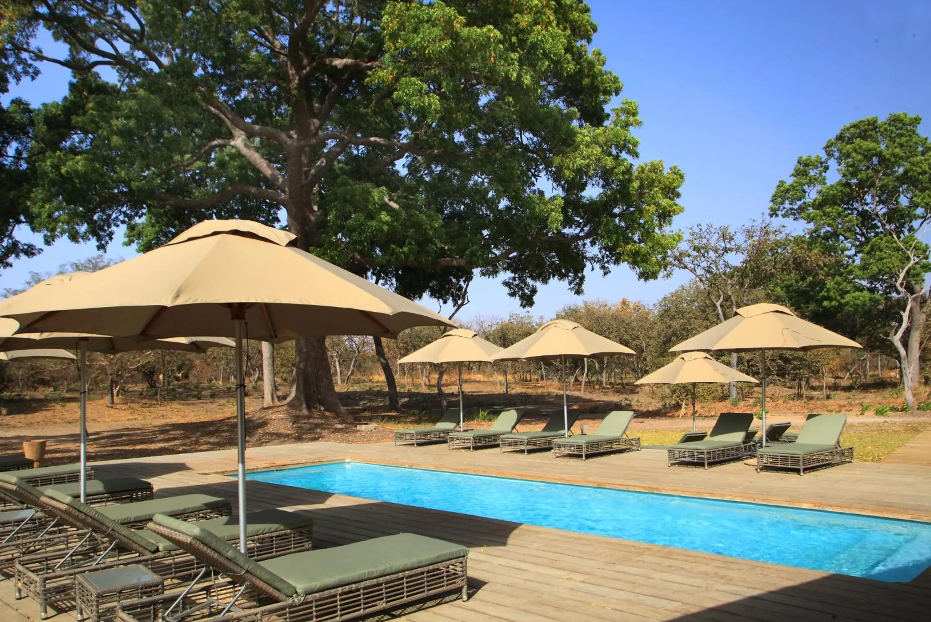 Swimming pool in Fathala Wildlife Reserve Swimming pool in Fathala Wildlife Reserve