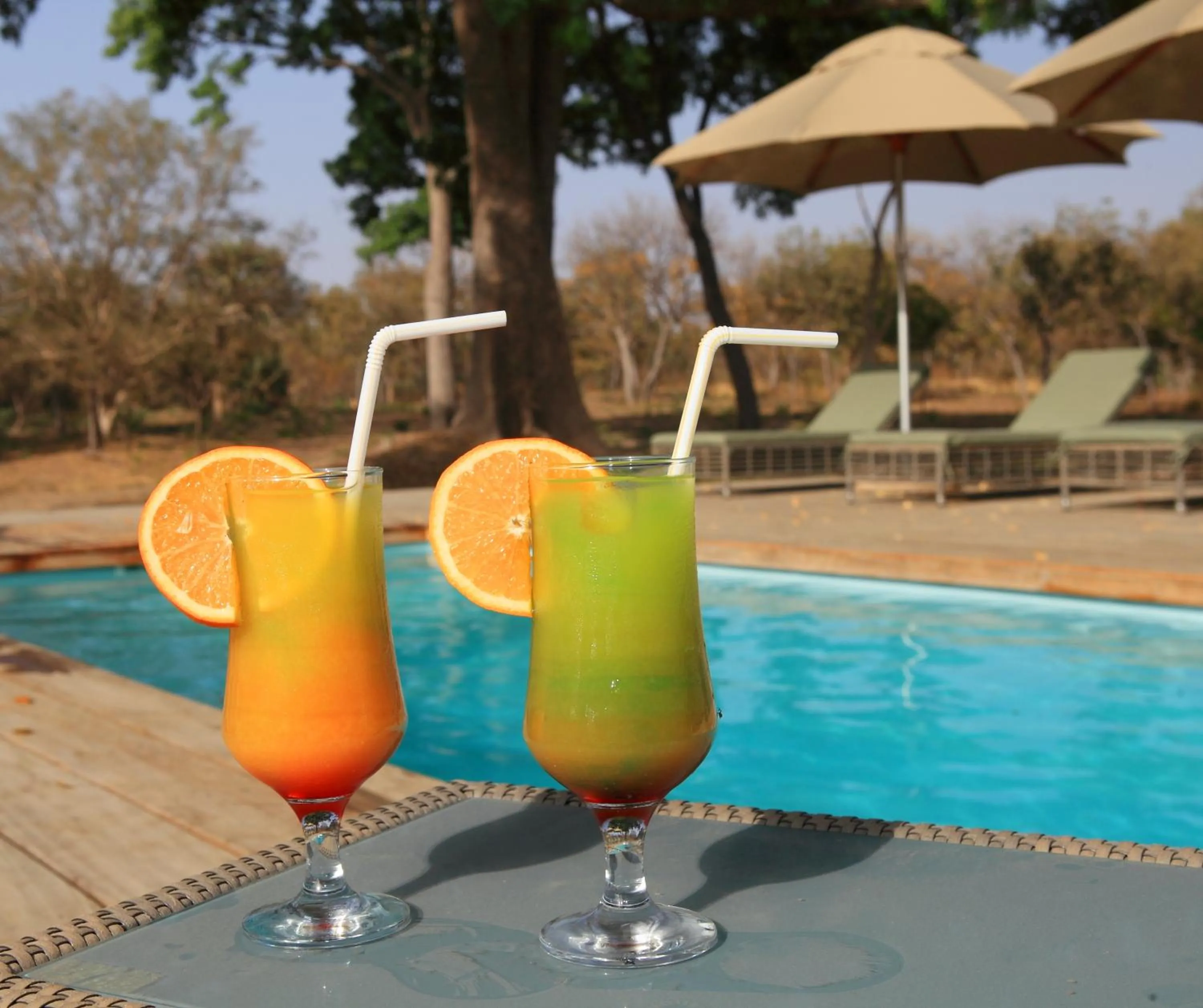 Swimming pool in Fathala Wildlife Reserve