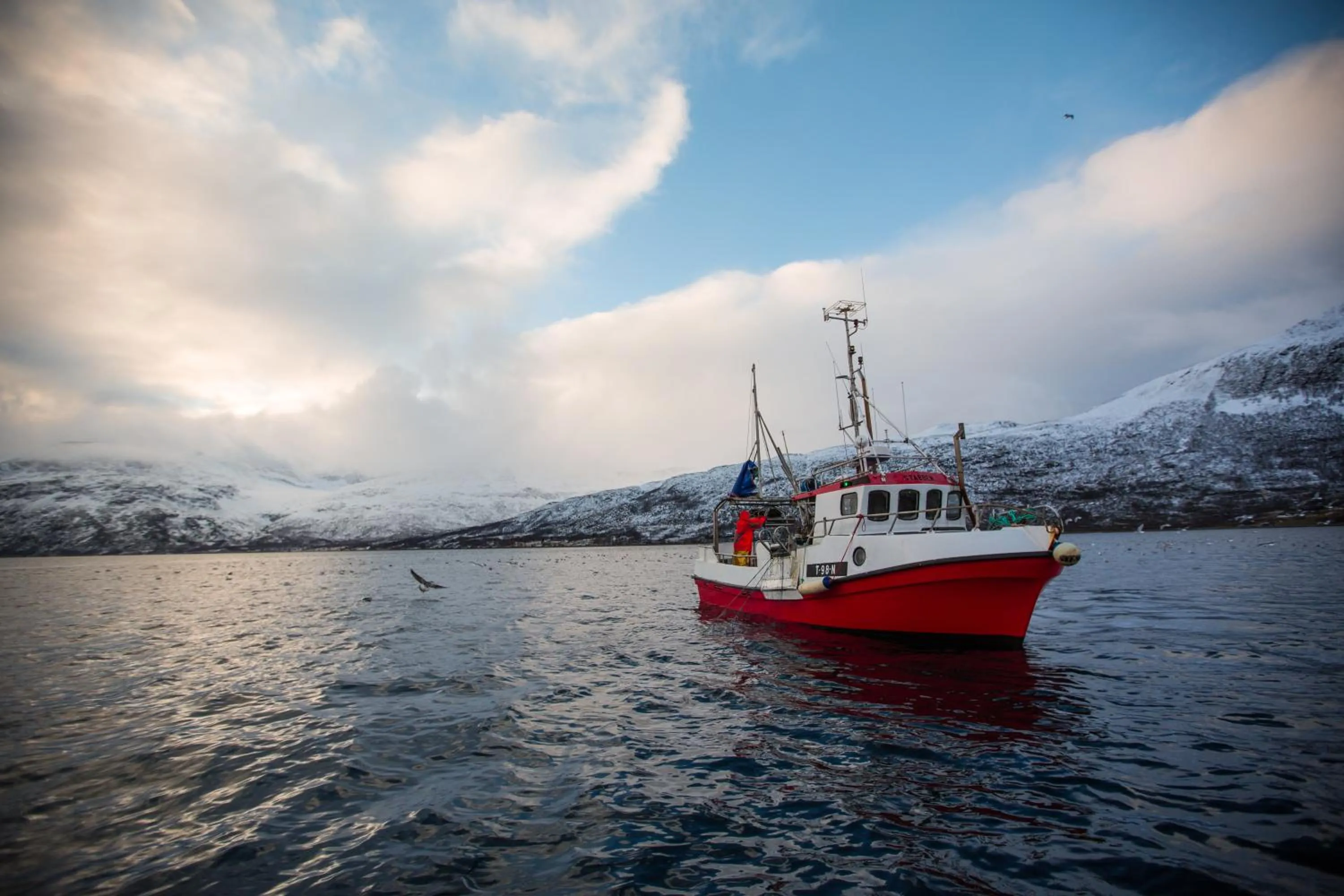 Fishing in Arctic Panorama Lodge