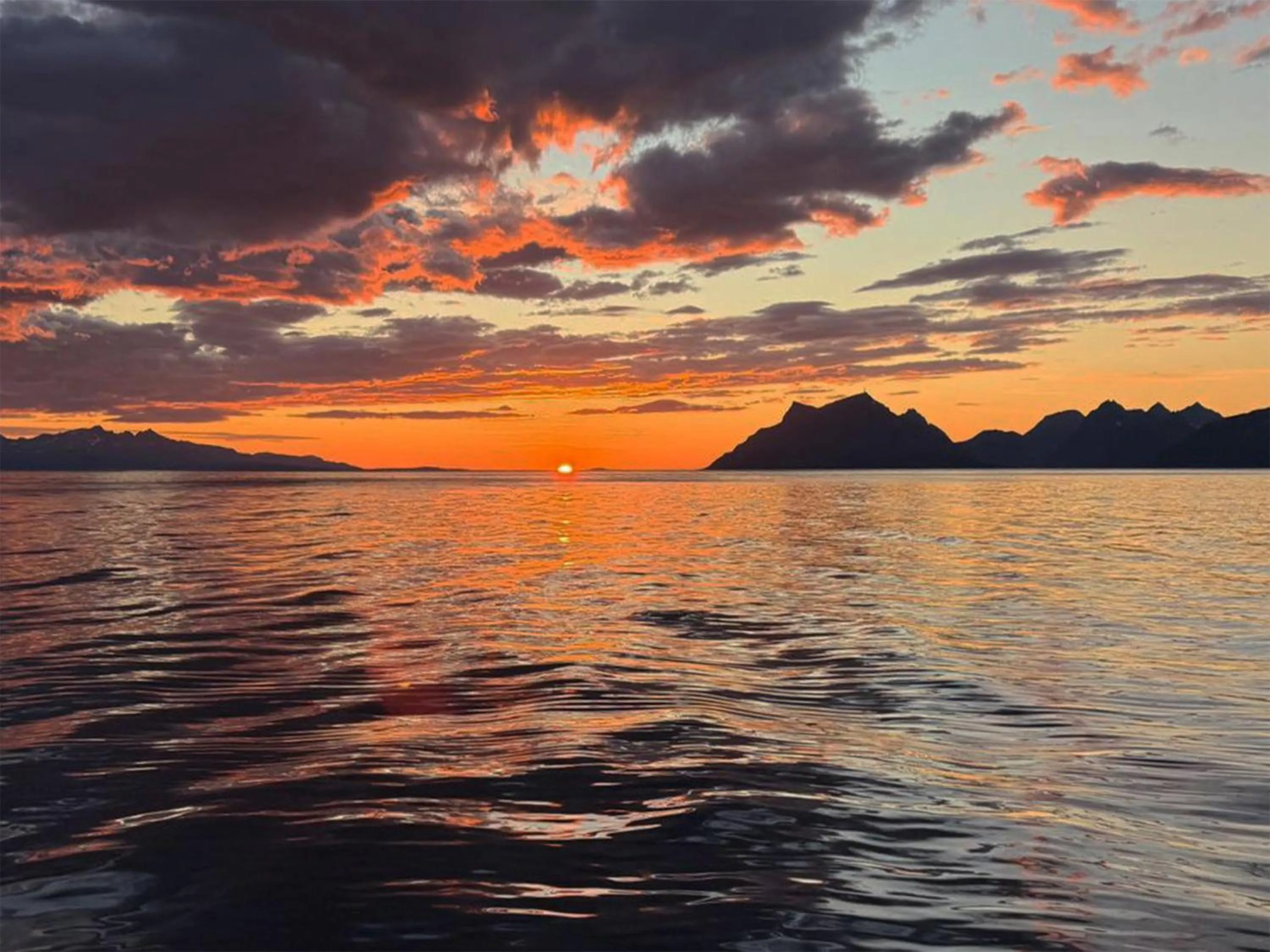 Activities in Arctic Panorama Lodge