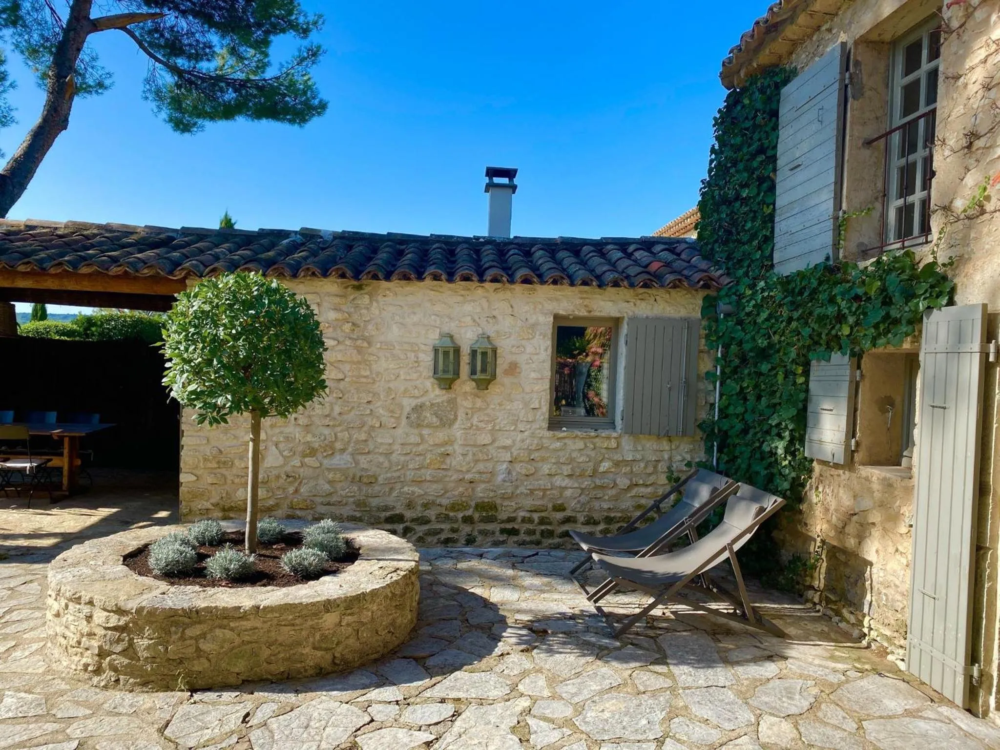 Garden in Mas De Rosemarie